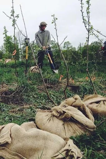 jonny planting apple trees