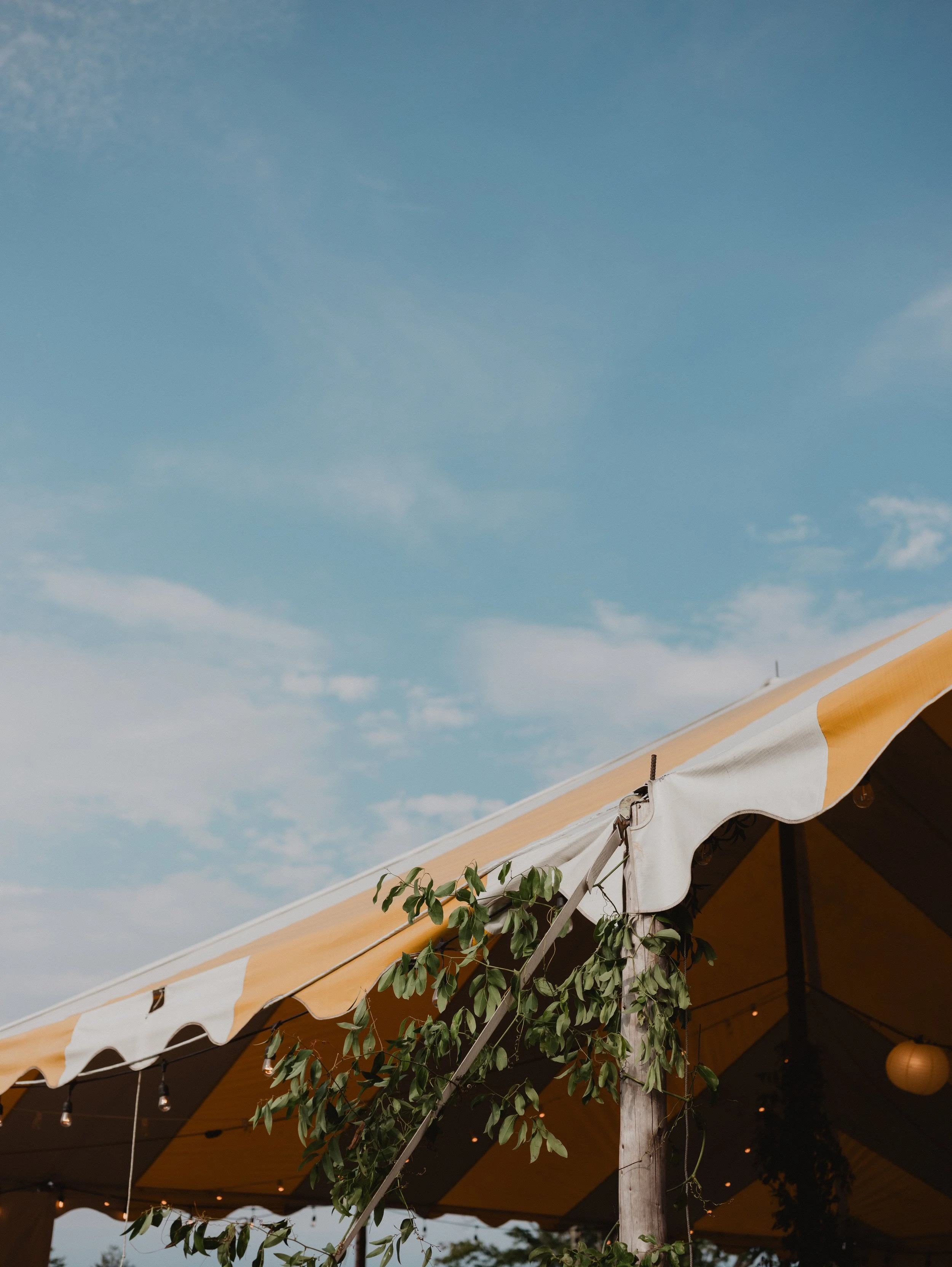 detail shot of tent with greenery