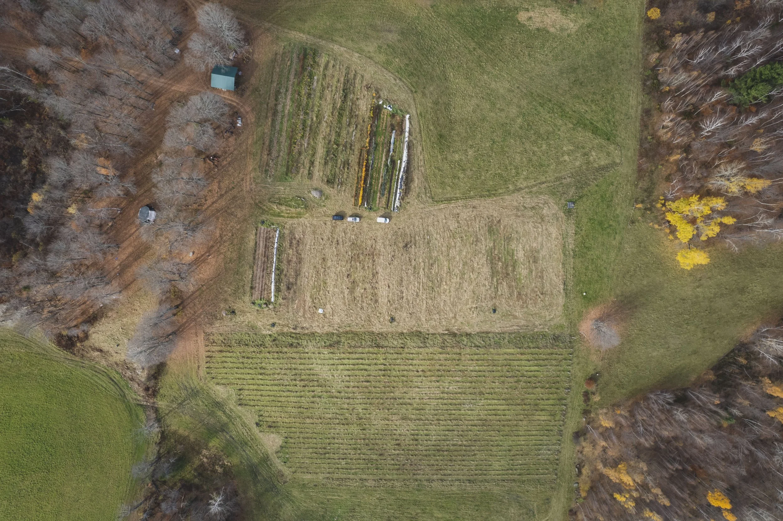 a drone photograph of one of our gardens including trees and farm vehicles