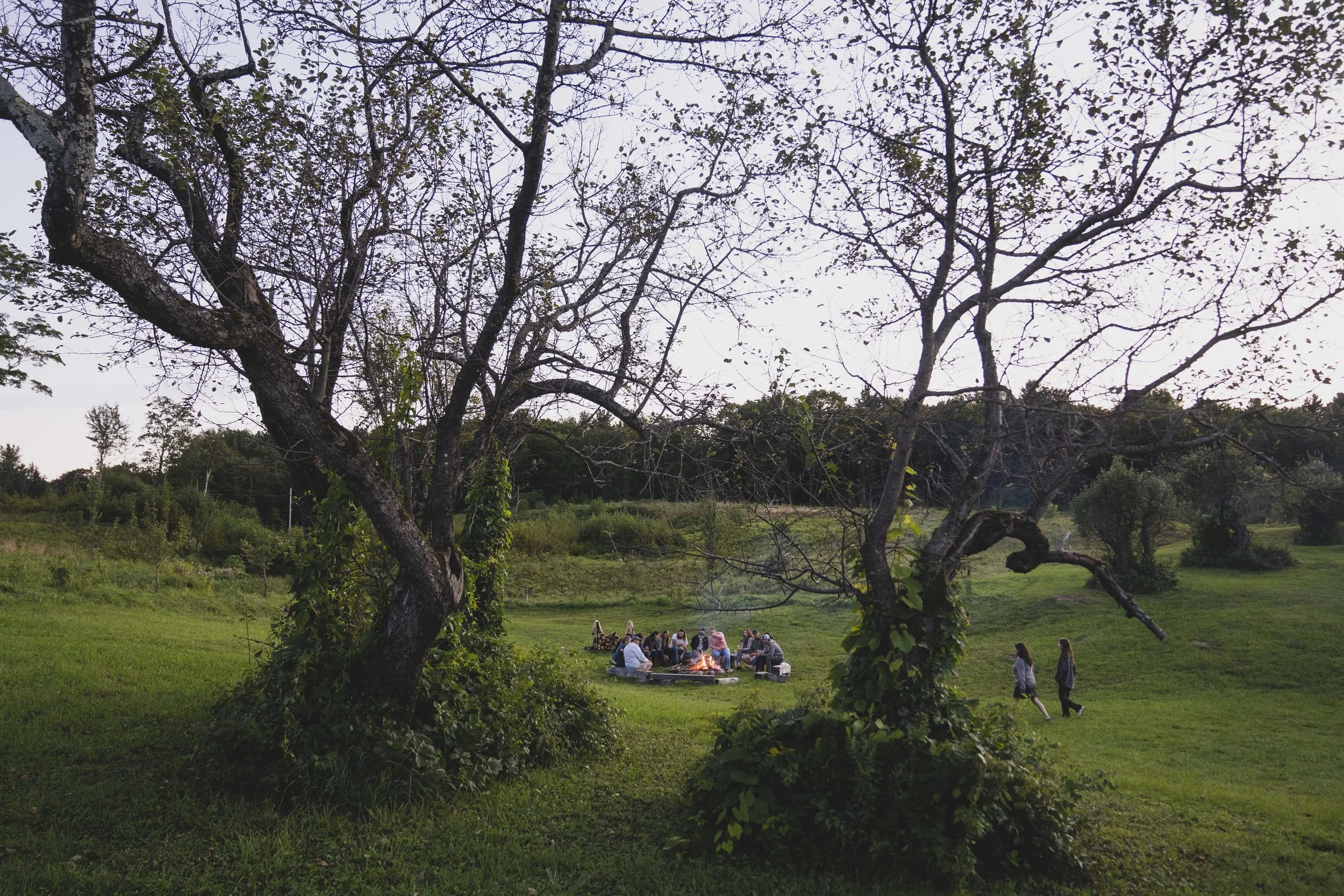 locals gathered around a fire at feast and field