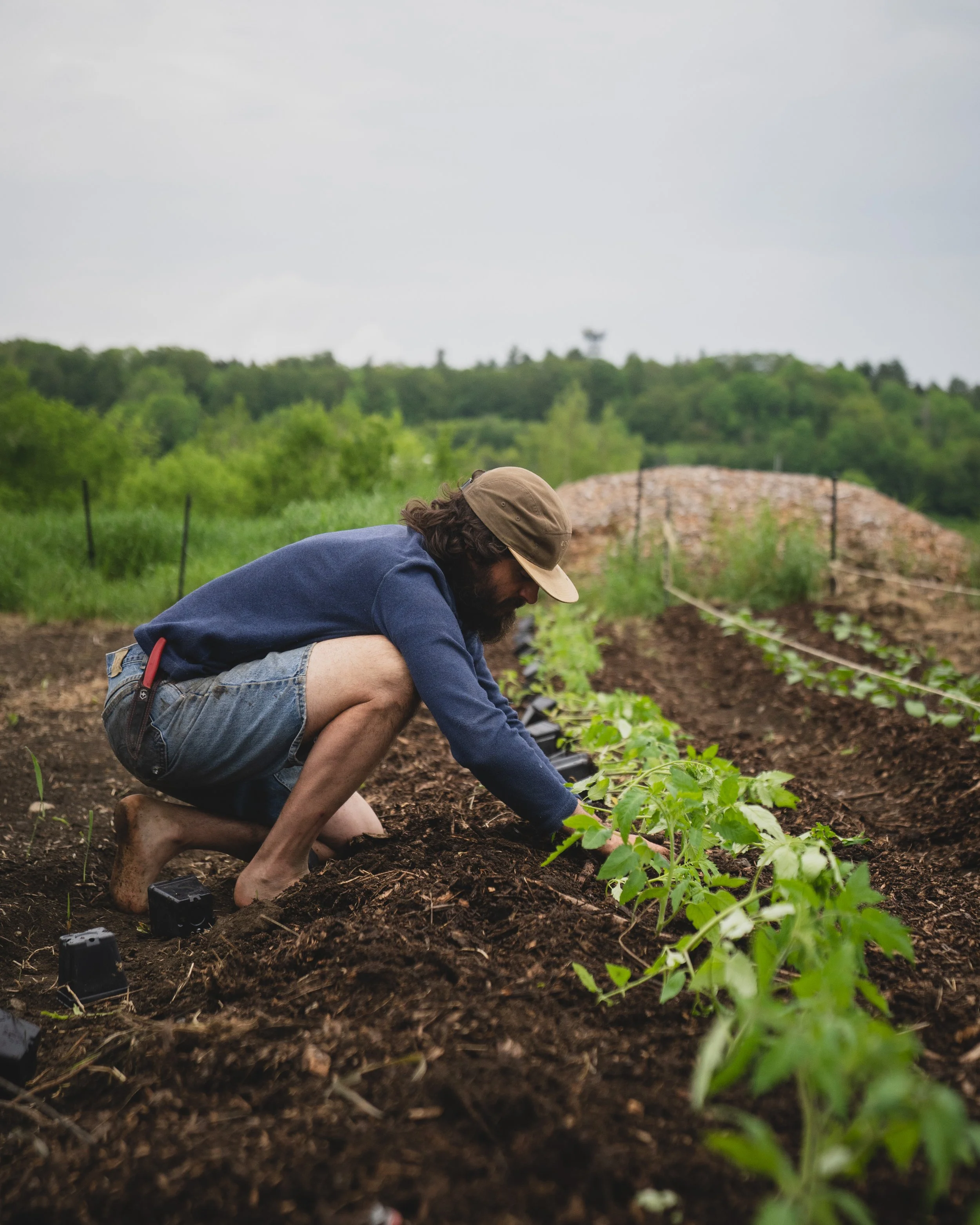 Chris Piana gardening in our extensive vegetable gardens