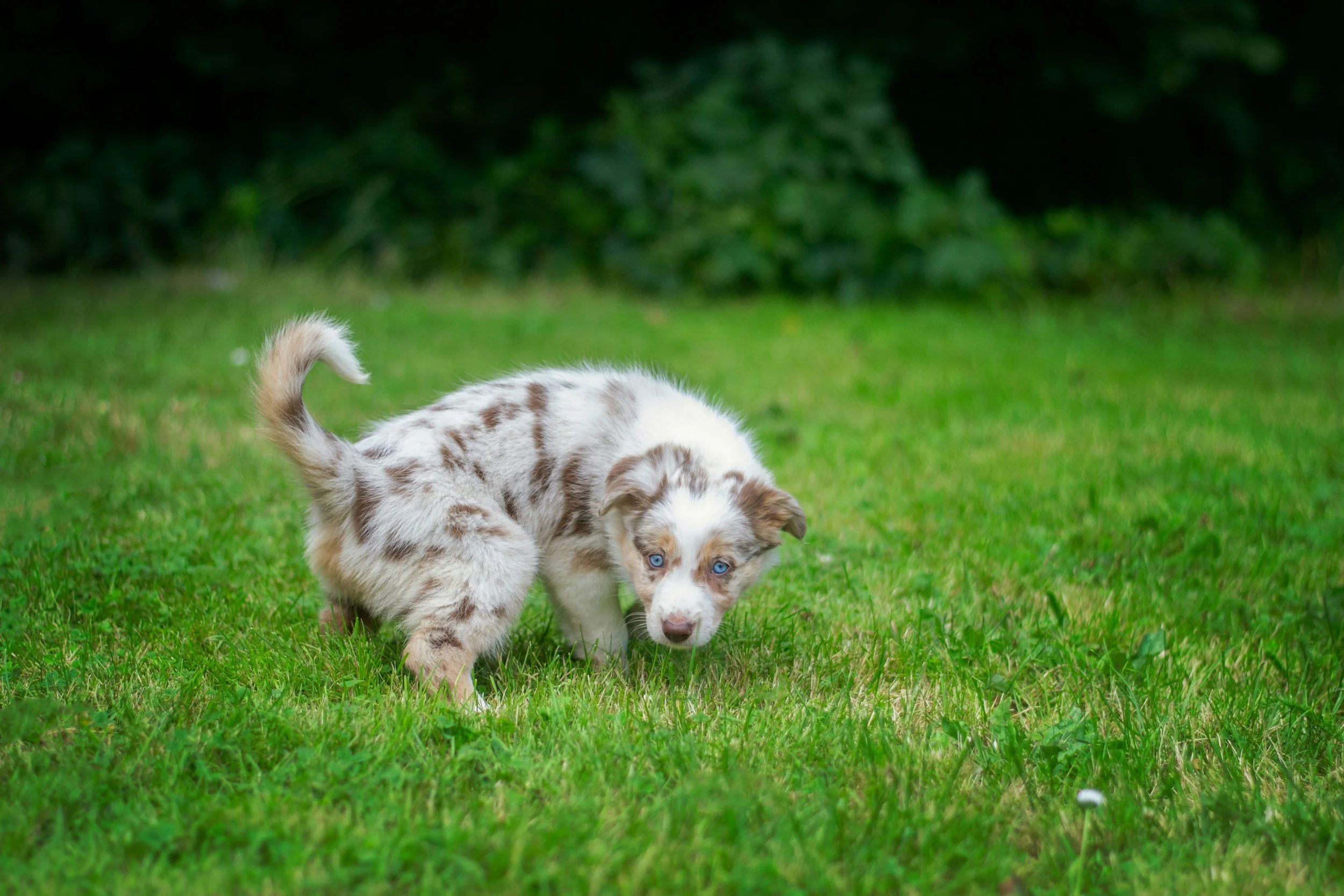 Start Potty Training Guide: Simple Steps for Success