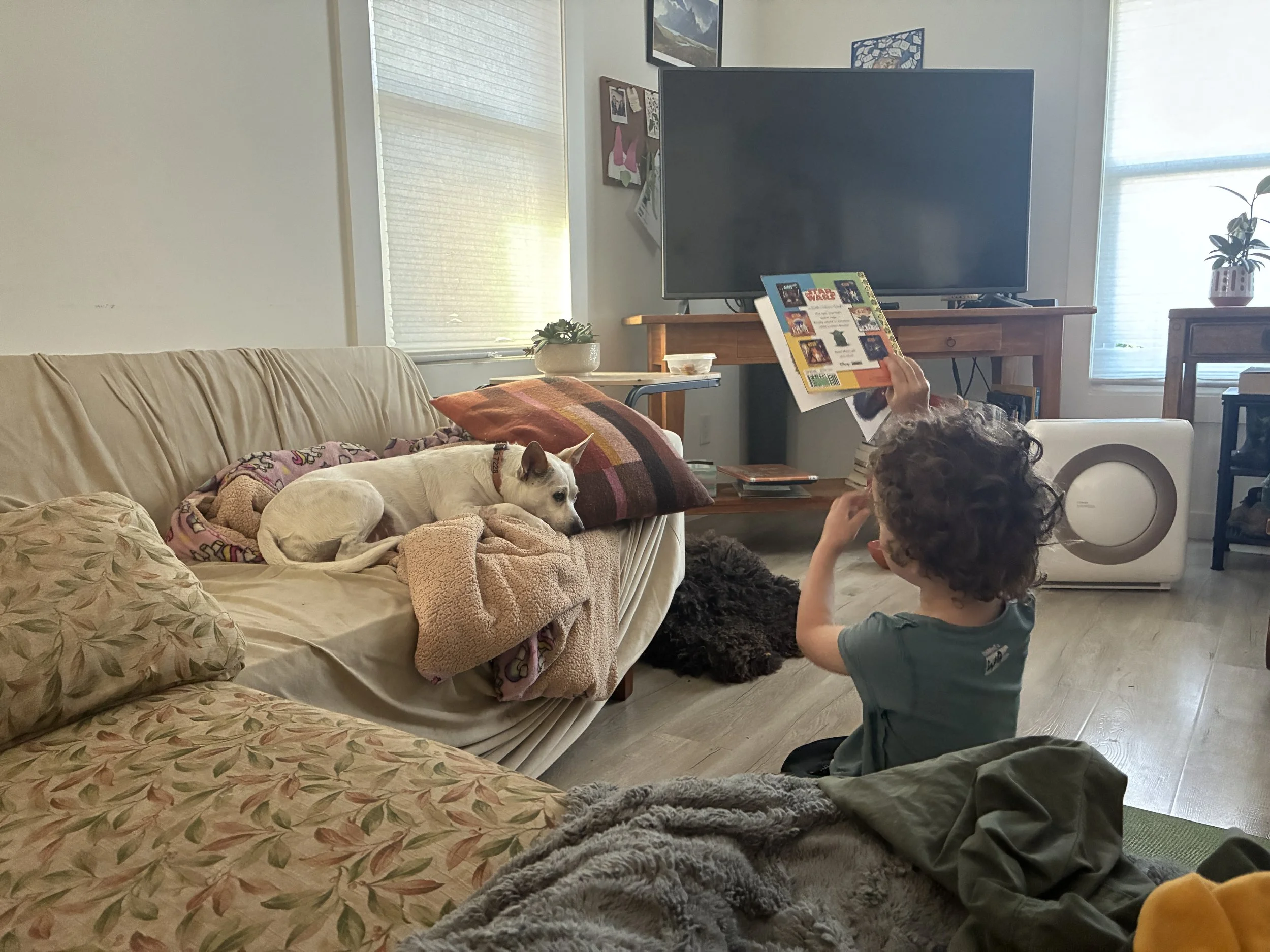 Four things I wish I knew when Trixie was a puppy (and how she made me a dog trainer)