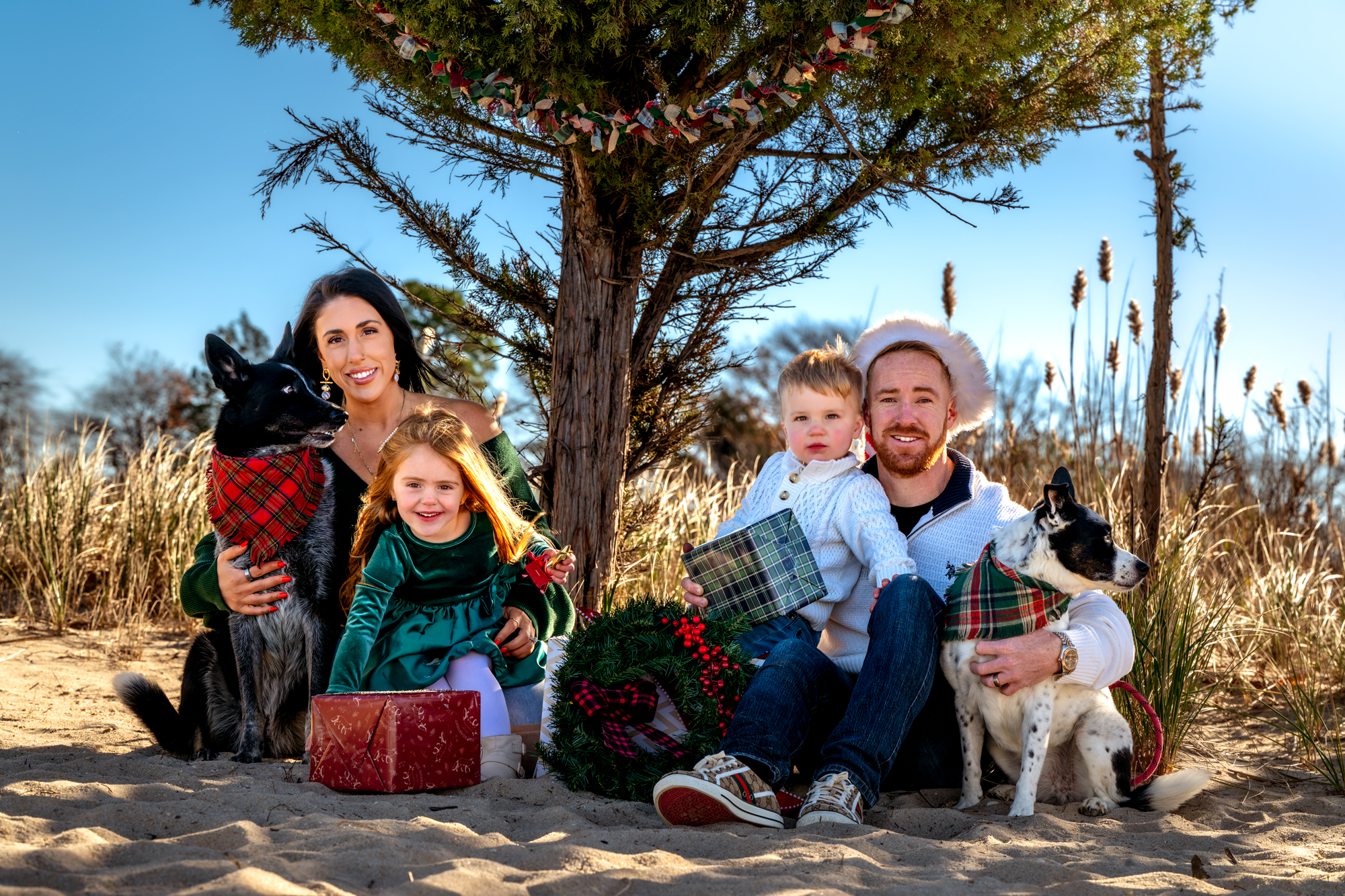 A family of four with two dogs celebrating Christmas outdoors on a sunny day, sitting on sand near tall grass and trees, with a decorated Christmas wreath and presents around them.