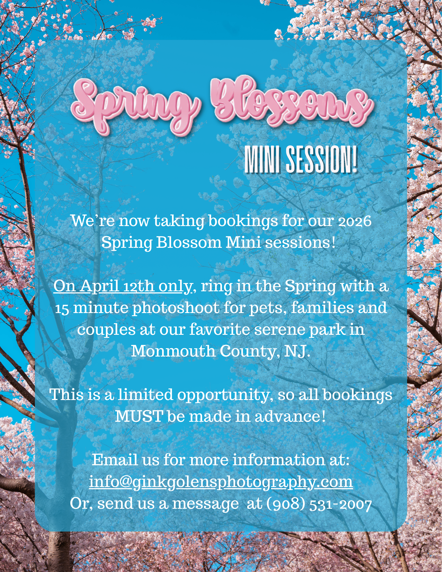Spring Blossoms Mini Session announcement with pink and white cherry blossoms against a bright blue sky. The text invites viewers to book spring mini photo sessions in NJ on April 12th, with contact details included.
