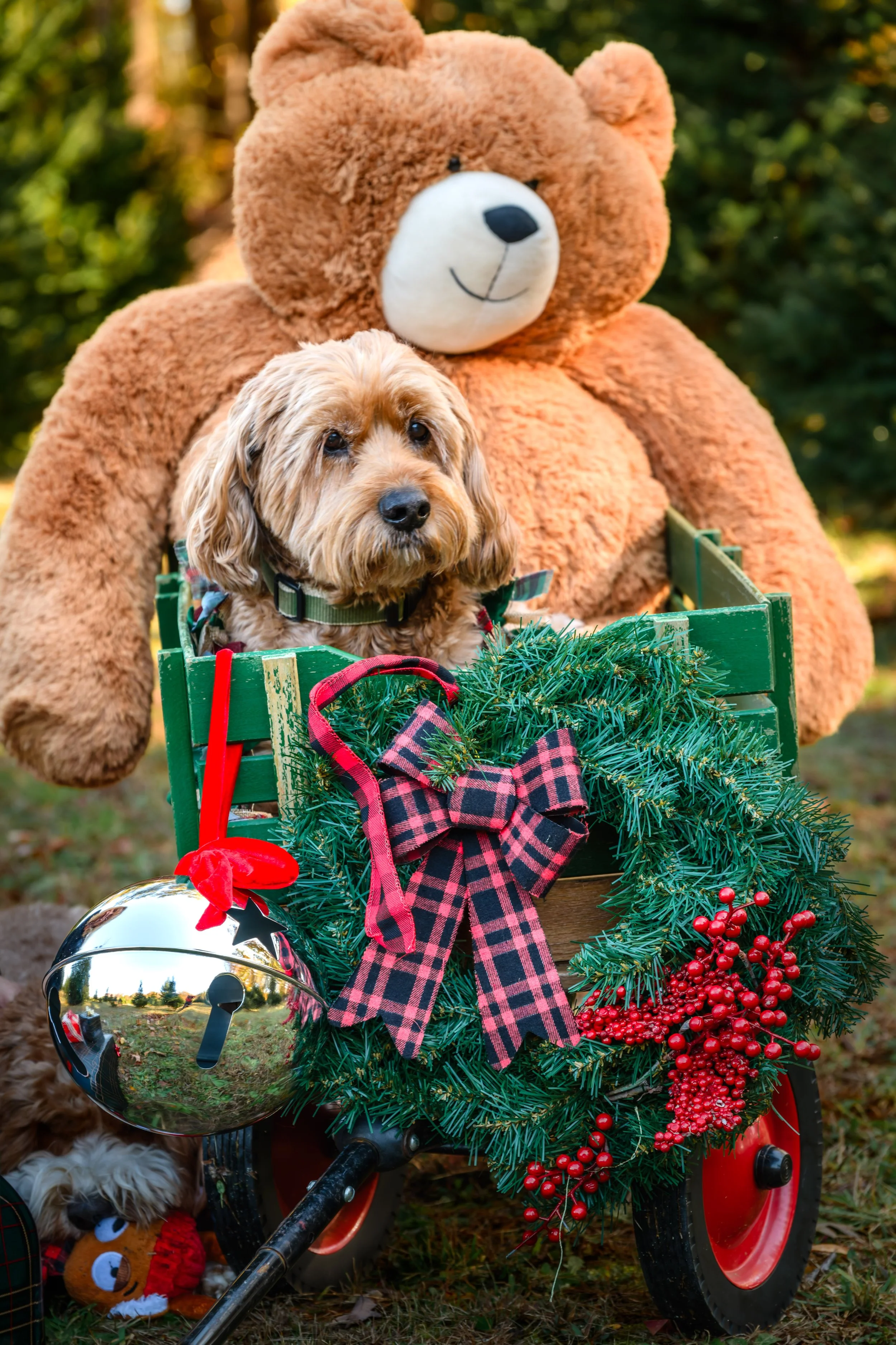 A small dog sitting in a green wagon decorated with holiday ornaments, a pine wreath with a red and black plaid bow, and surrounded by a large teddy bear and Christmas decorations outdoors.