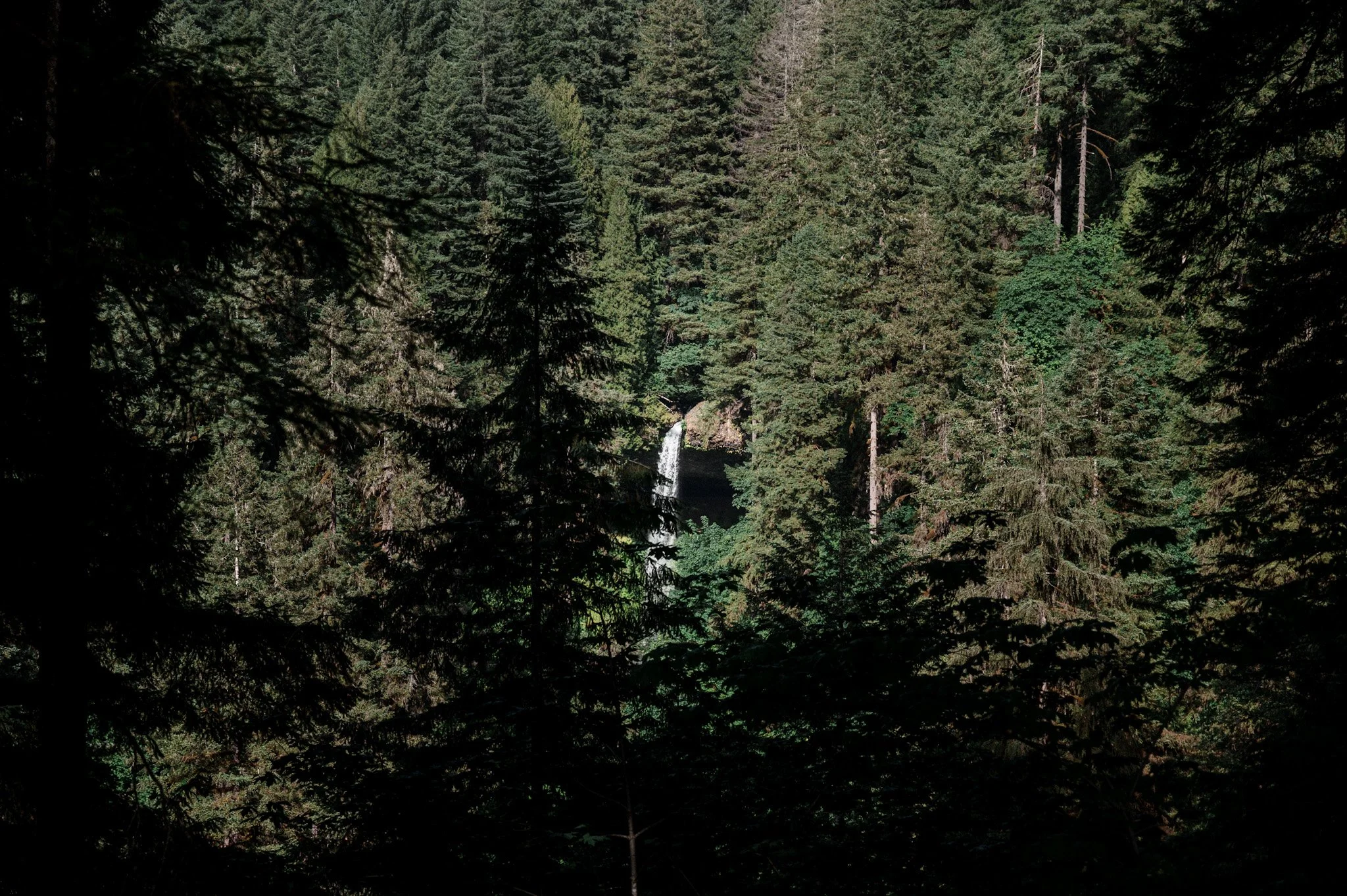 DSC_1313.jpg