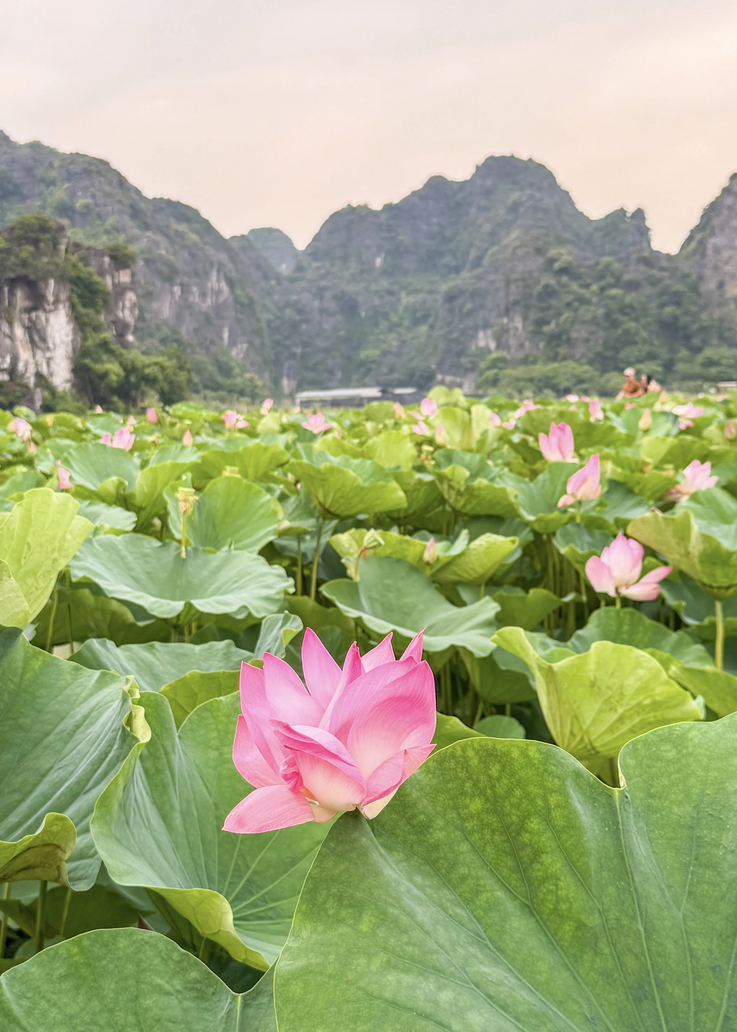 What I Will Take From My Vietnam Adventure