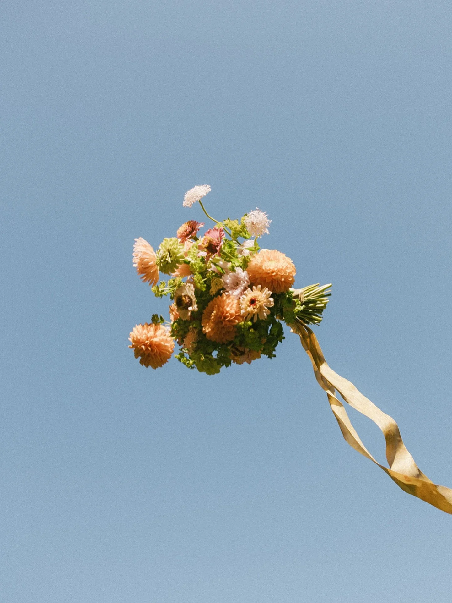 Flying bouquet🤍💐

My hubby came up with the caption and I liked it so here ya go:)

Keywords
Wedding florals, Washington wedding day, wedding photographer, Vashon island, colorful wedding bouquet, bridal bouquet inspo