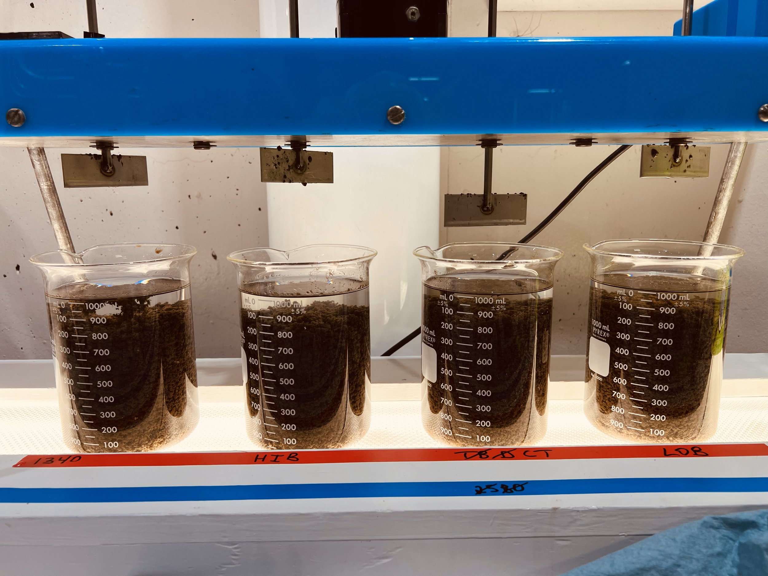 Four beakers filled with dark brown liquid and sediment, labeled 134D, HIB, CBACT, and LOB, placed on a white laboratory bench with colored markings.