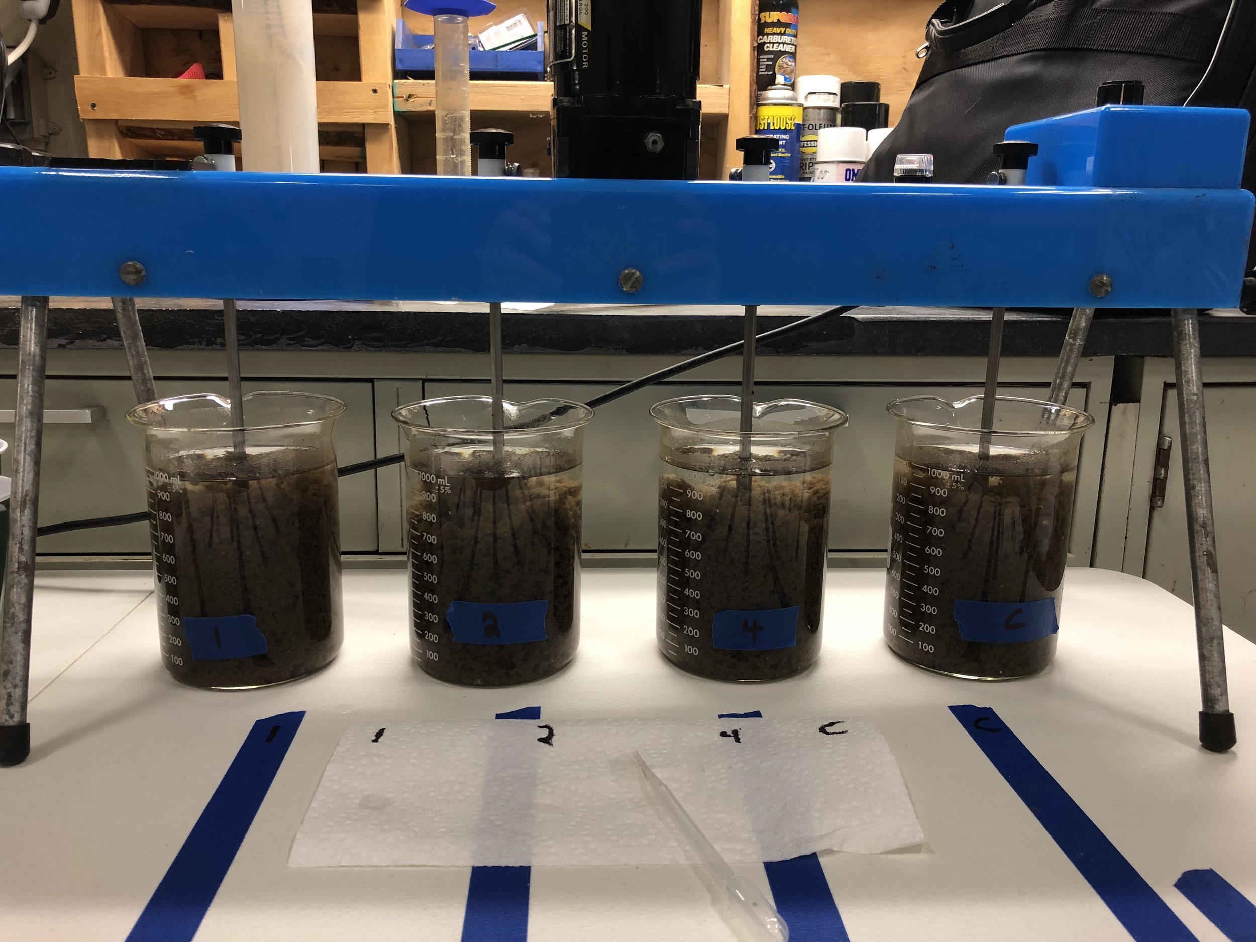 Four beakers filled with dark, layered liquid, labeled 1, 2, 3, and 4, on a white surface in a laboratory setting.