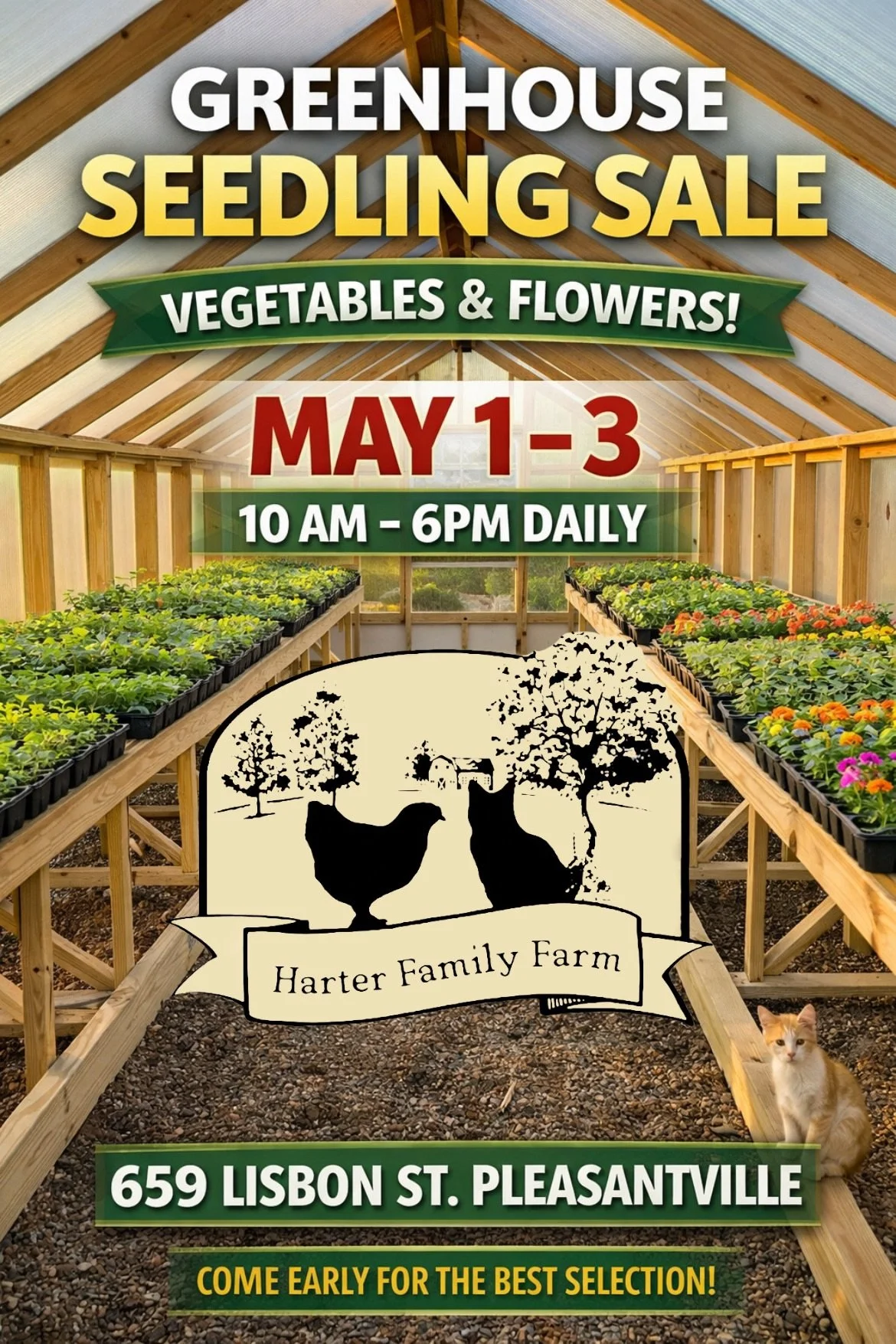 Greenhouse Seedling Sale