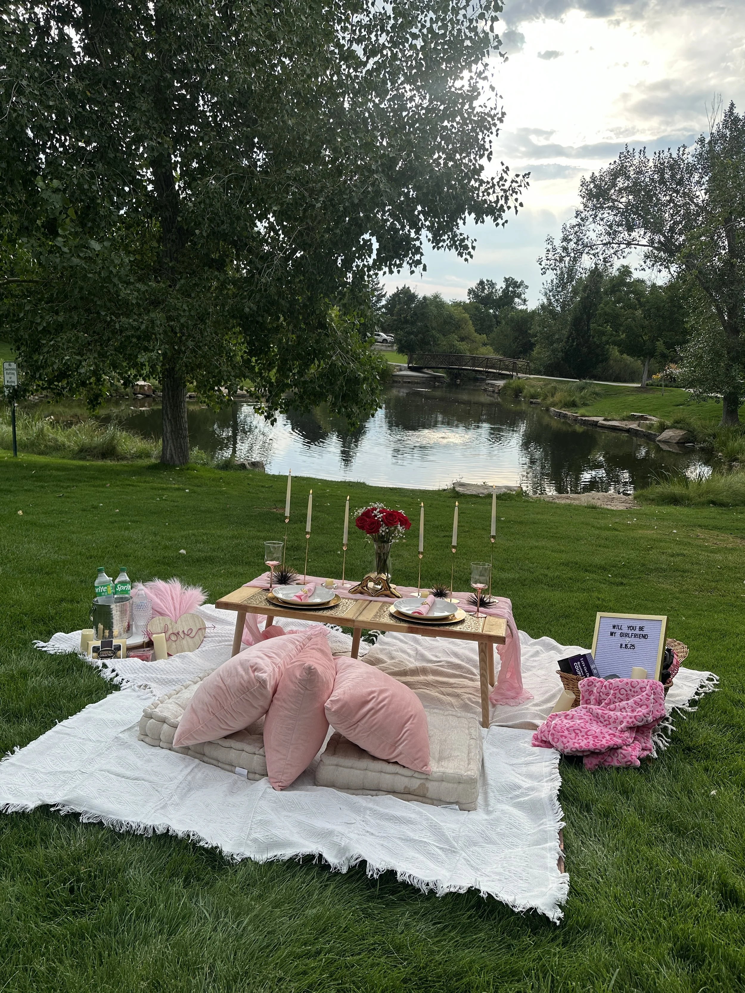 Luxury picnic in Denver for a girlfriend proposal