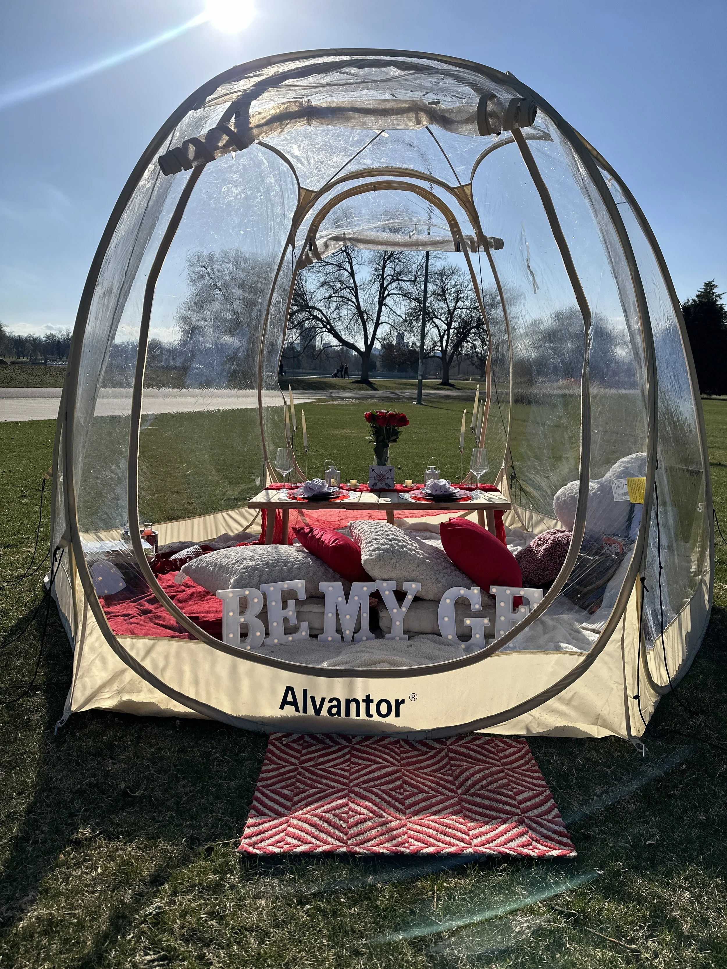 Denver Girlfriend proposal ideas