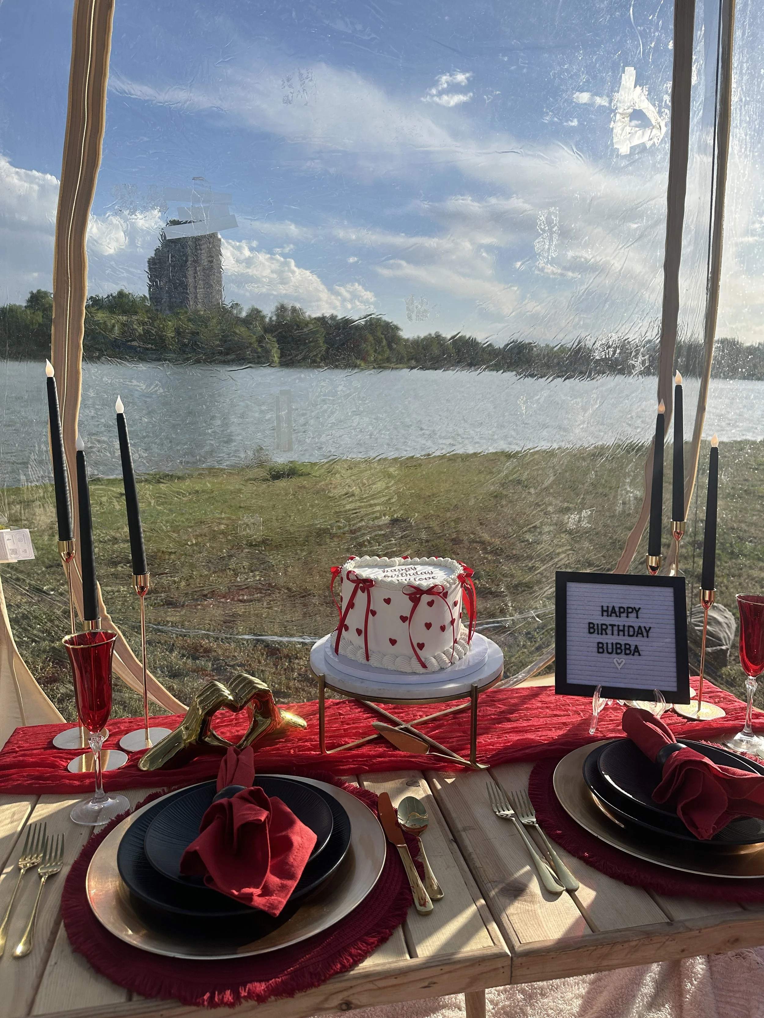 Birthday picnic setup in Denver