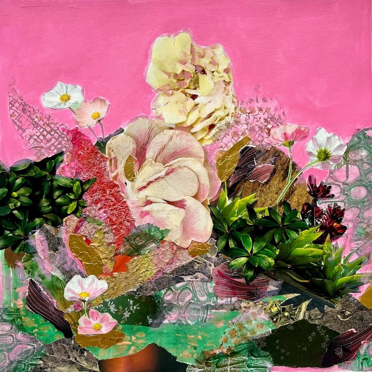 Wild Pink - 2025, acrylic and collage