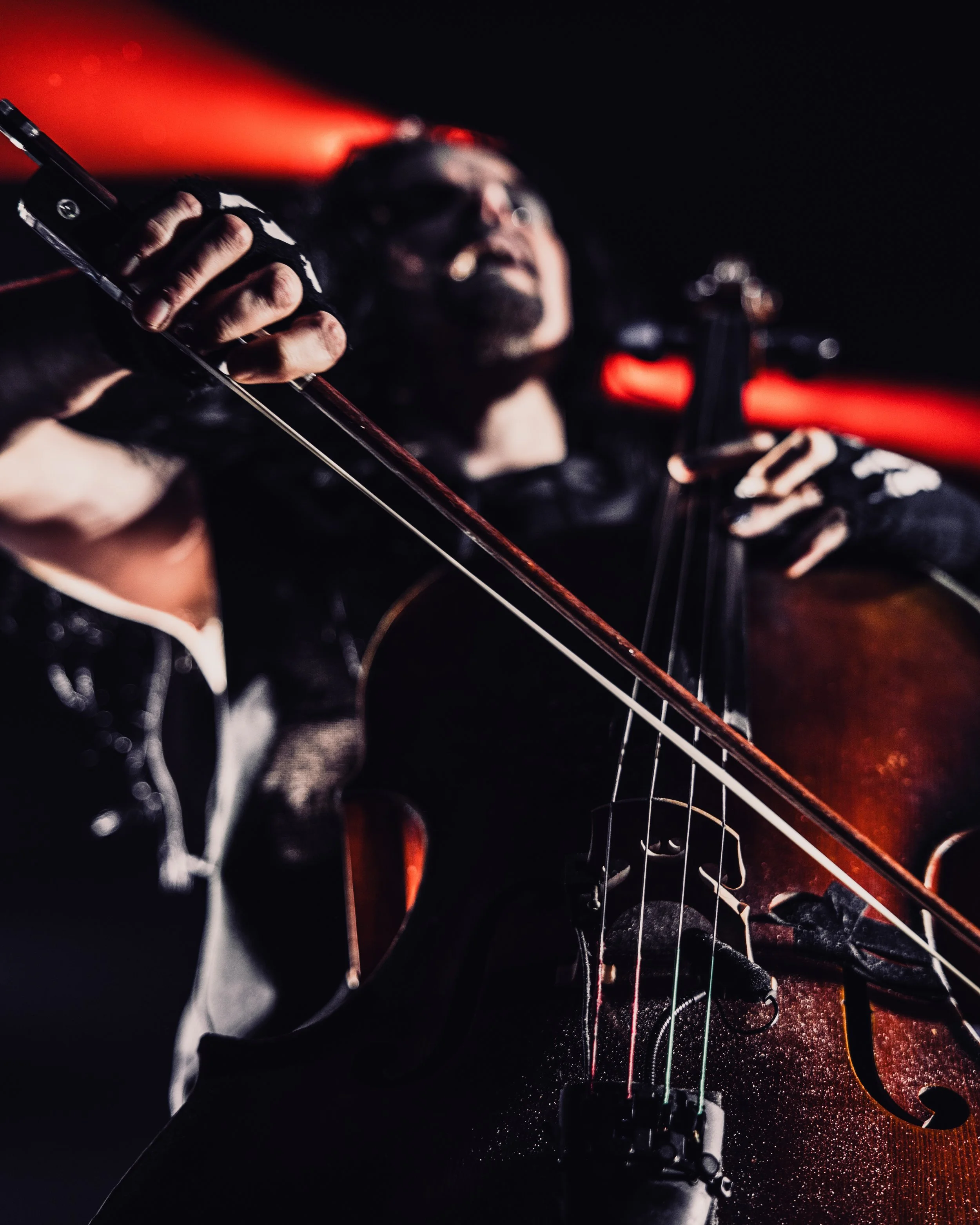 Apocalyptica Hamburg (447)-29.jpg