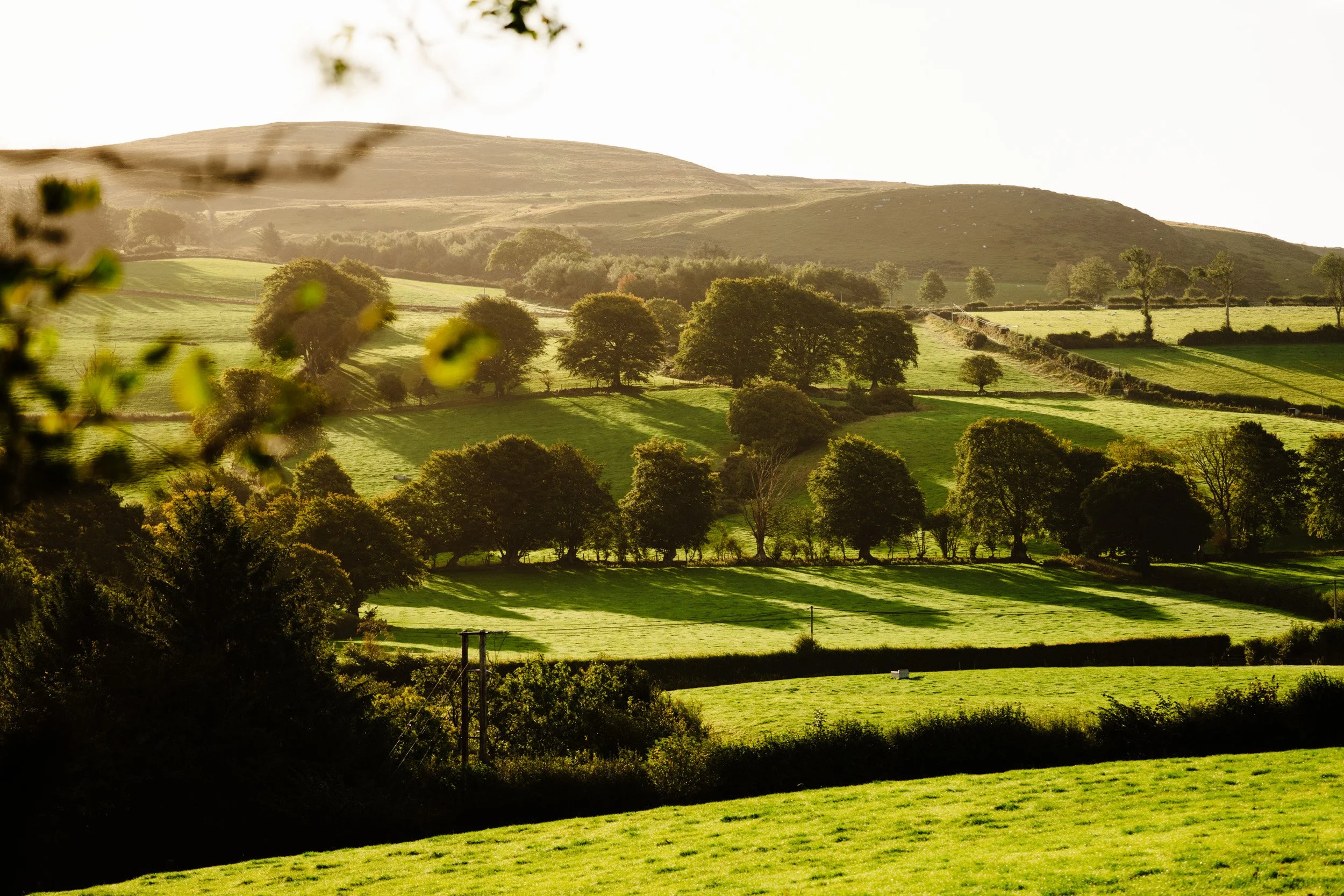 Wales_Farm_Preview-ryanjohnstonco-52.jpg
