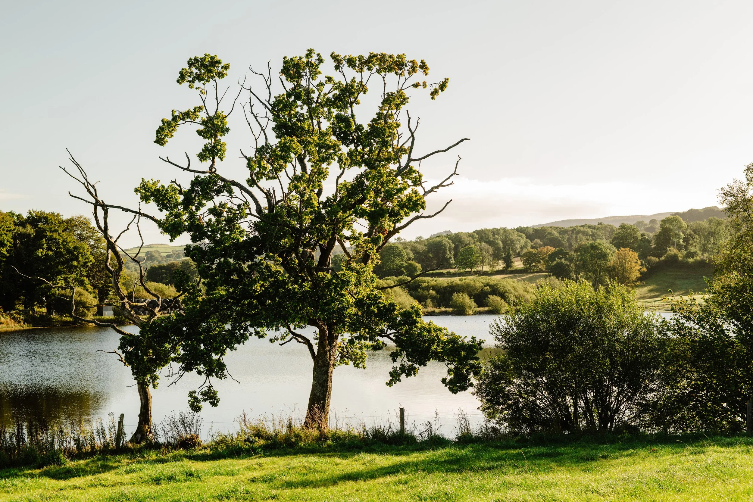 Wales_Farm_Preview-ryanjohnstonco-62.jpg