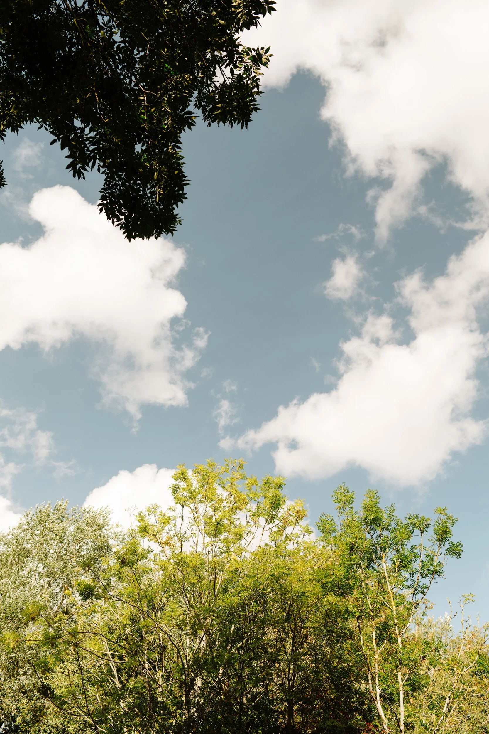 Coventry_Farm_Preview-ryanjohnstonco-171.jpg