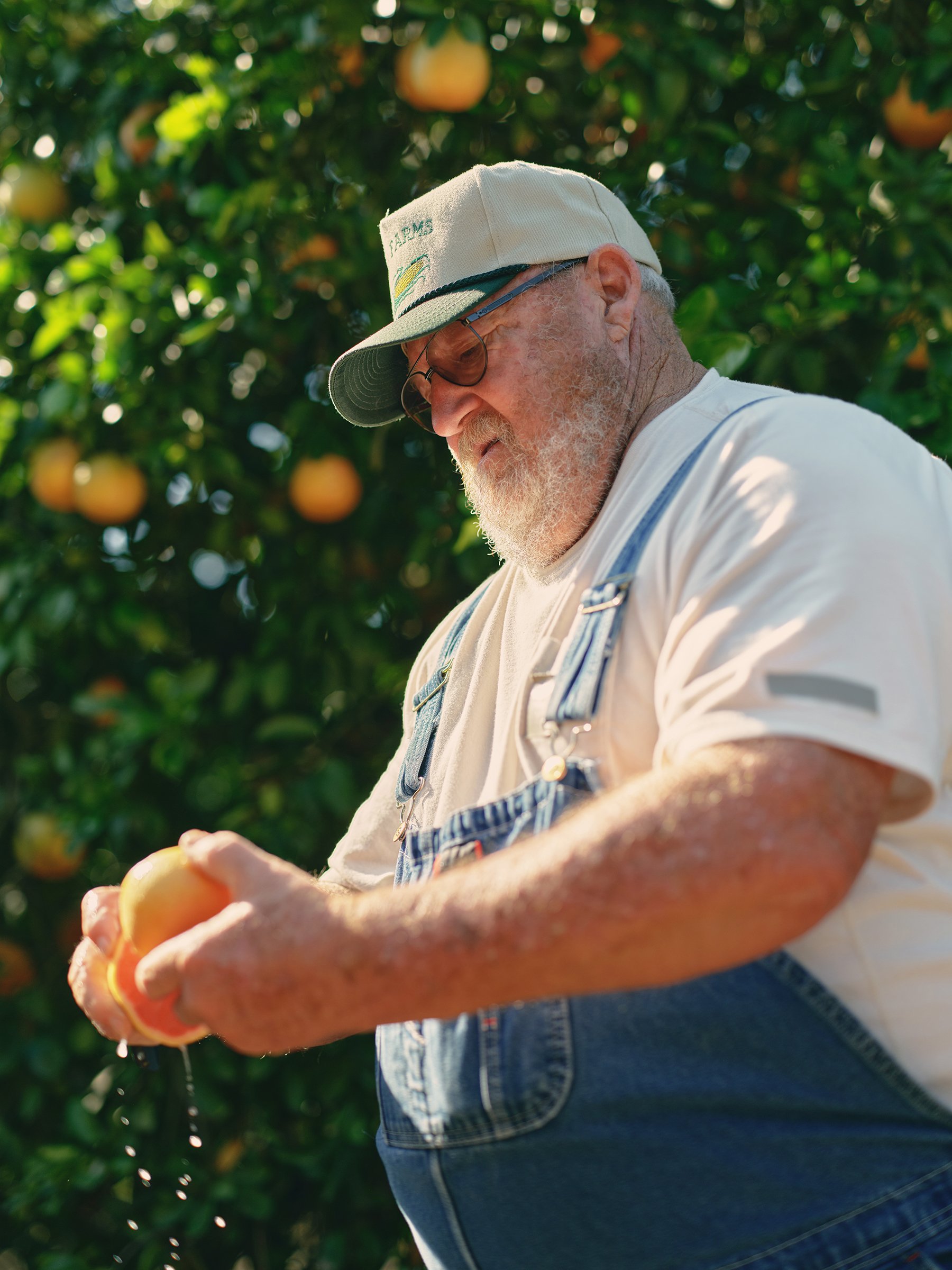 HEB Texas Roots Citrus