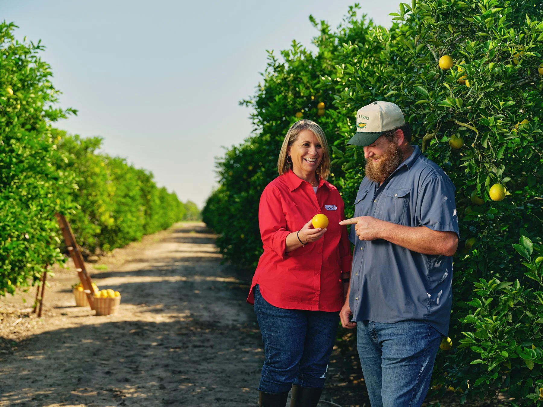 HEB Texas Roots Citrus