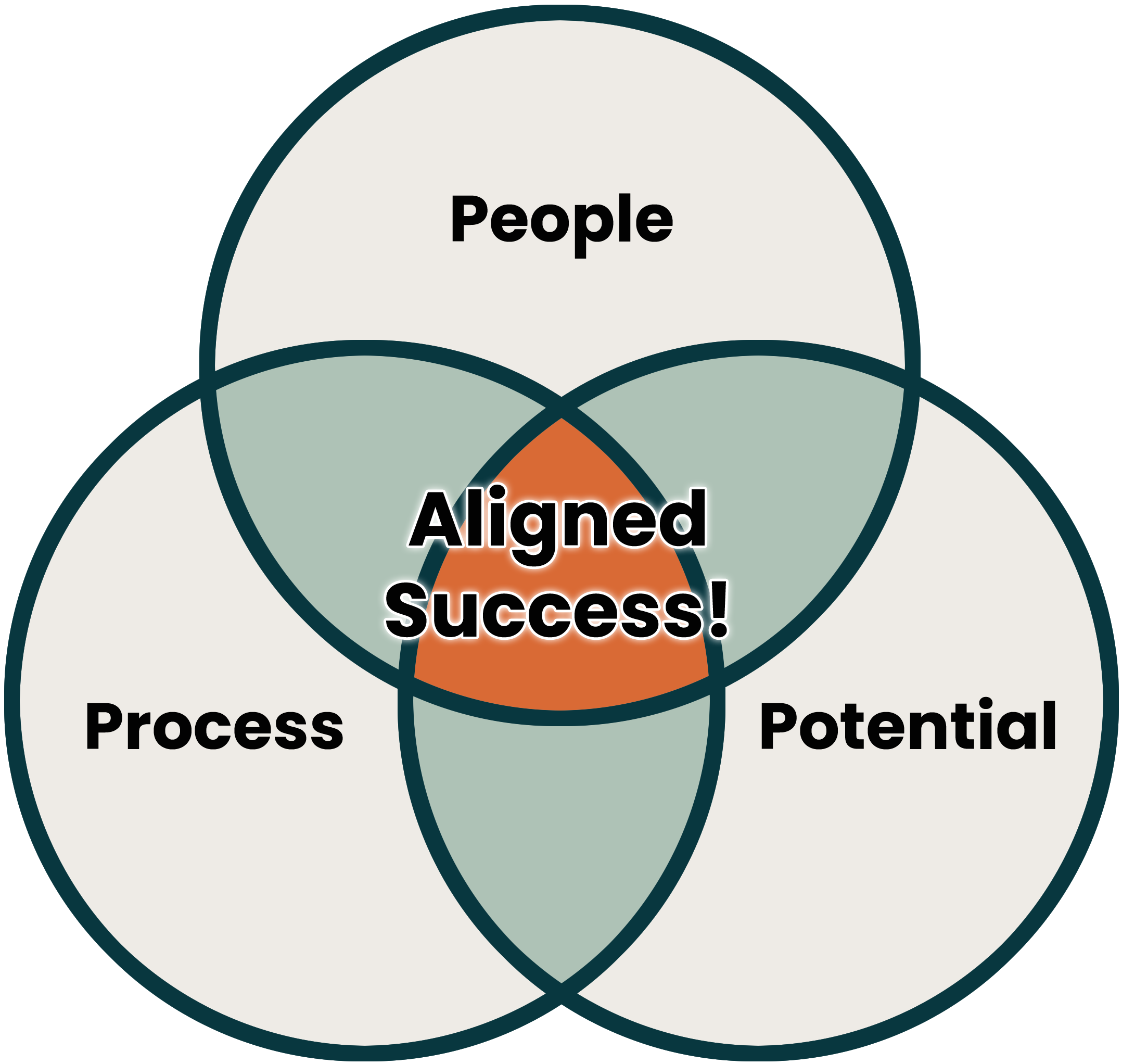 A venn diagram graphic showing the relationship between People, Process and Potential to create Aligned Success at Bideako.