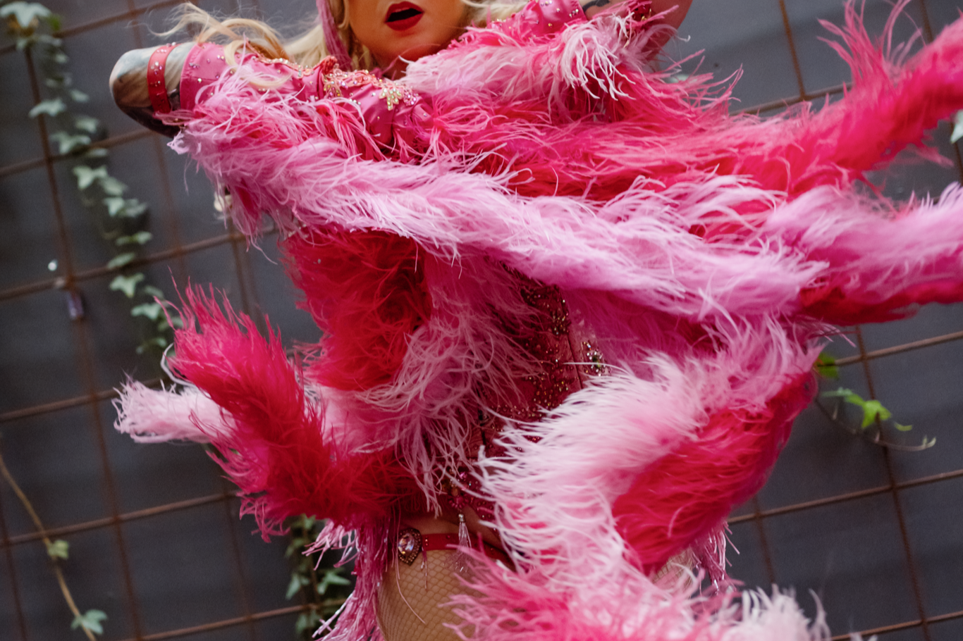 Hire Burlesque Performers Melbourne: A 2026 Guide