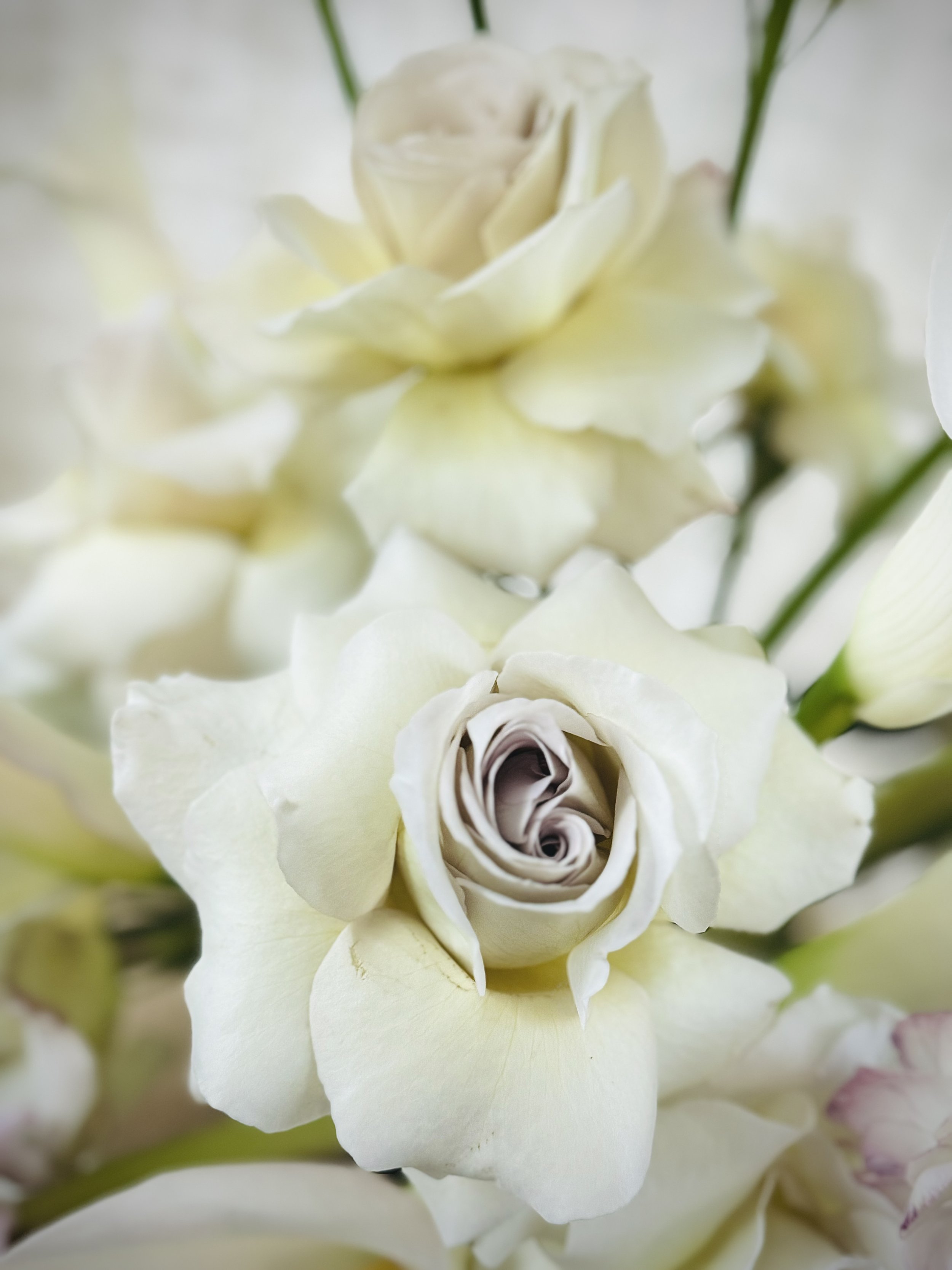 Floral Harmony: Elevating Your Event with High-End Blooms