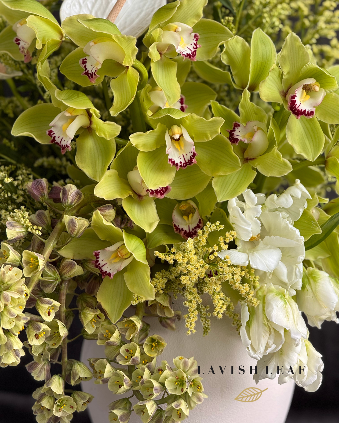 The Art of Botanical Storytelling