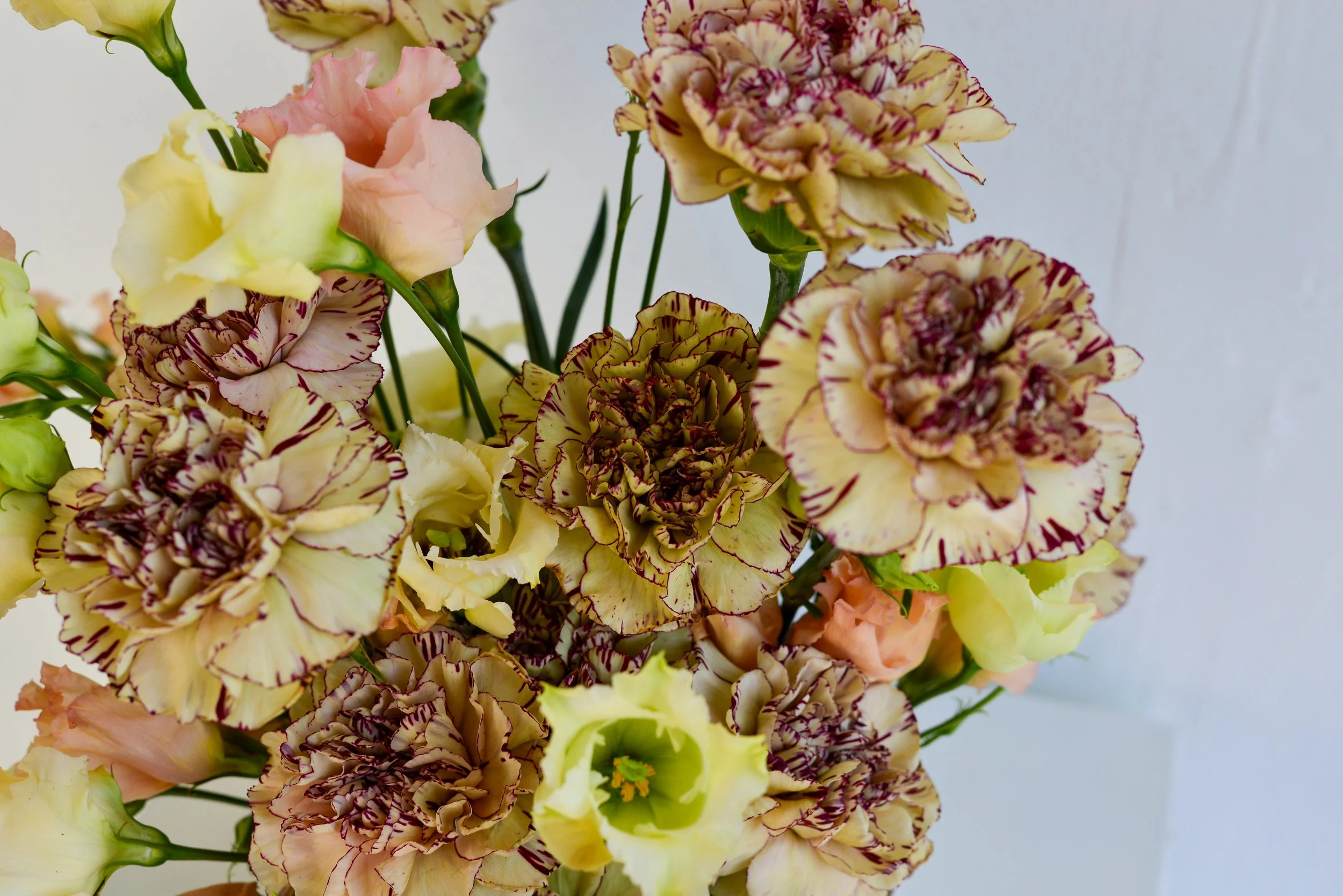 Triangle NC floral design studio