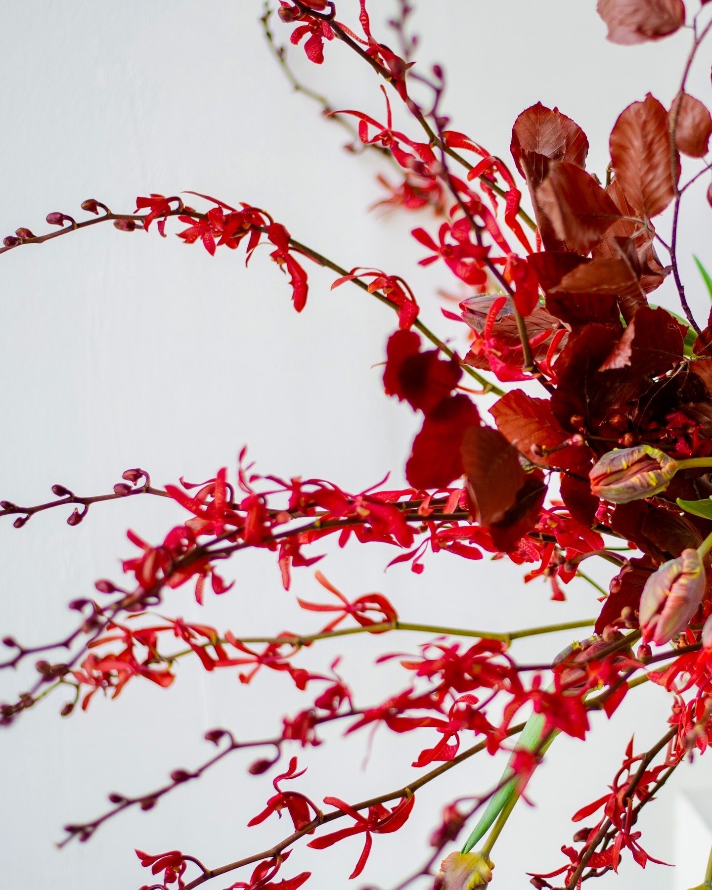 Corporate weekly flowers for high-end restaurants