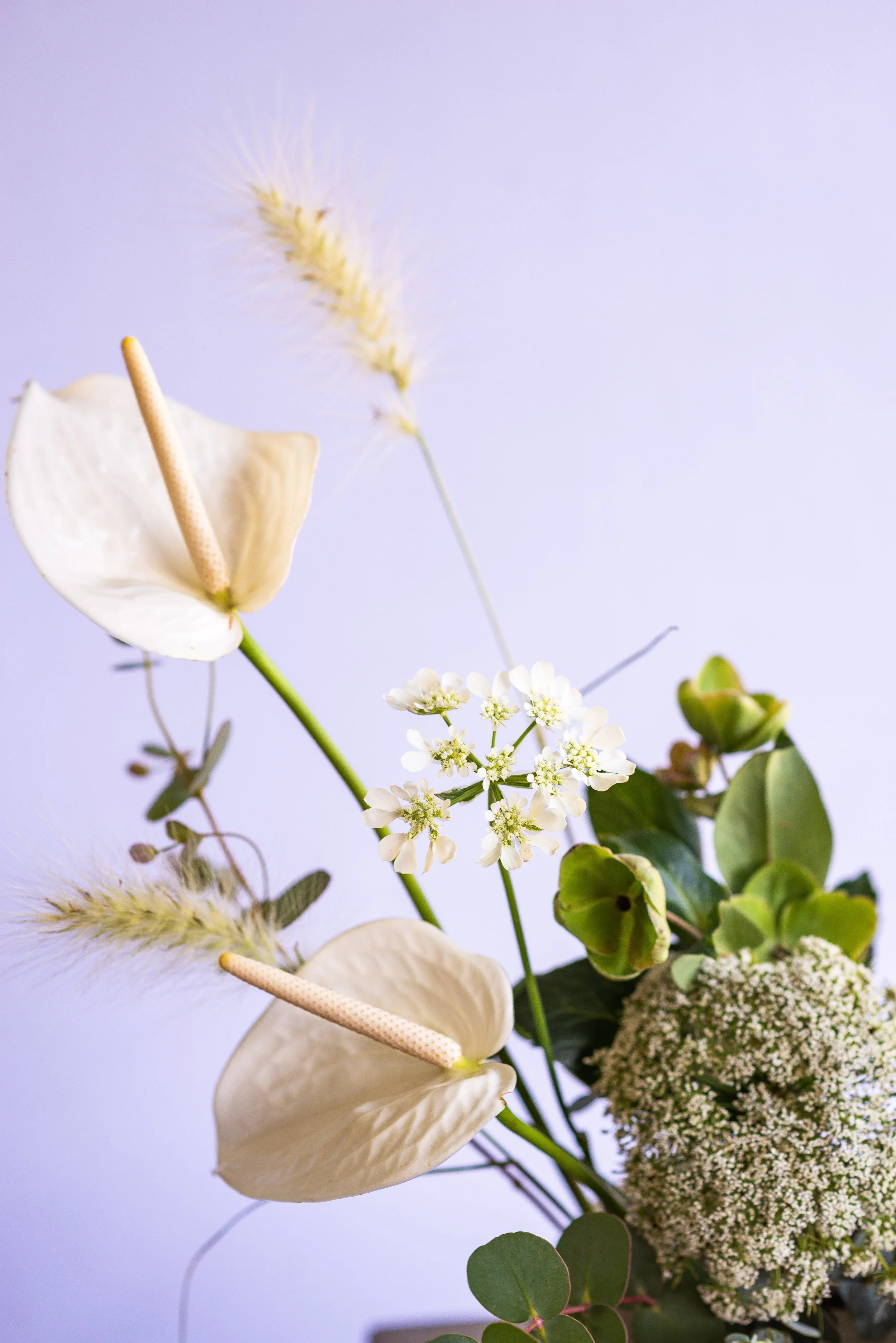 A bouquet of white flowers including anthuriums, small white blossoms, and dried grasses against a light purple background.