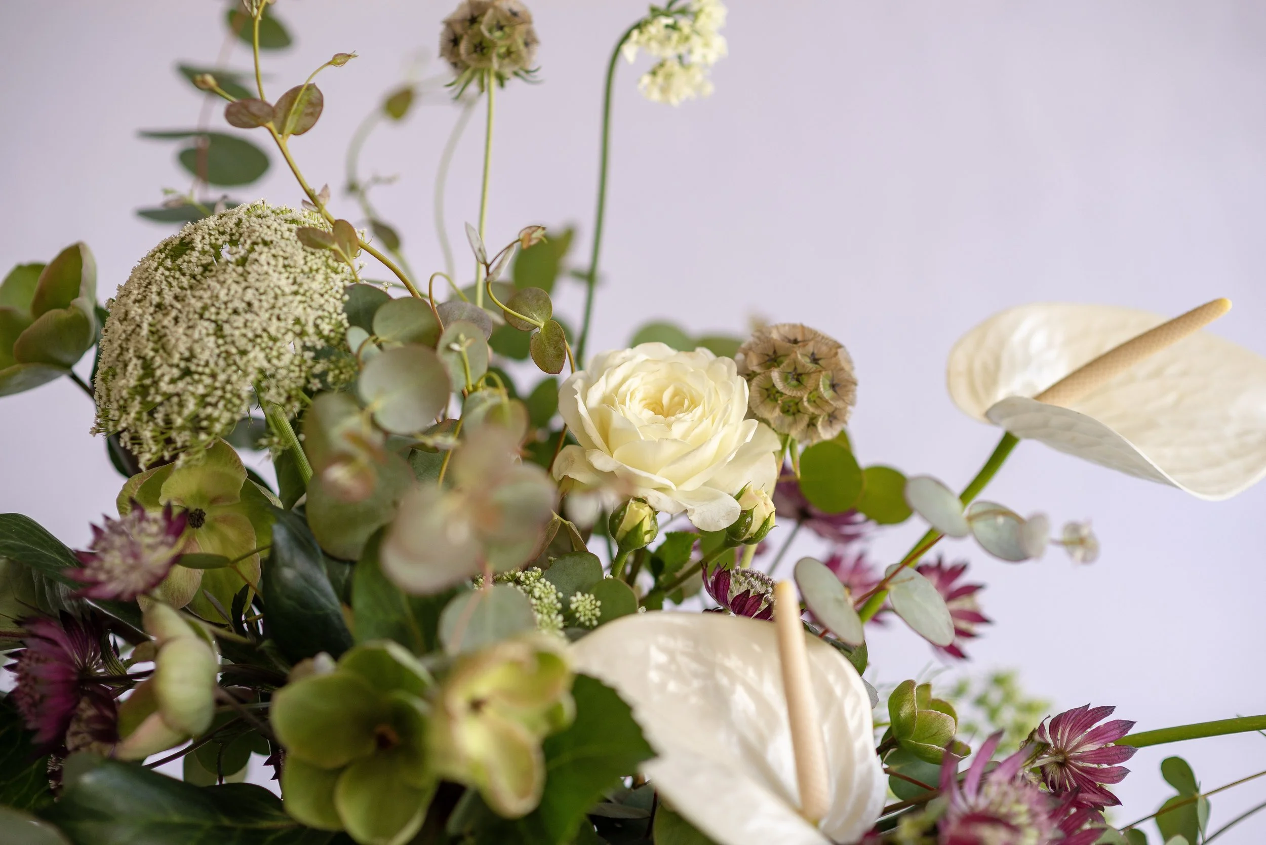 Close-up of a floral arrangement with white roses, anthurium, cloudberry, and greenery against a pale background.