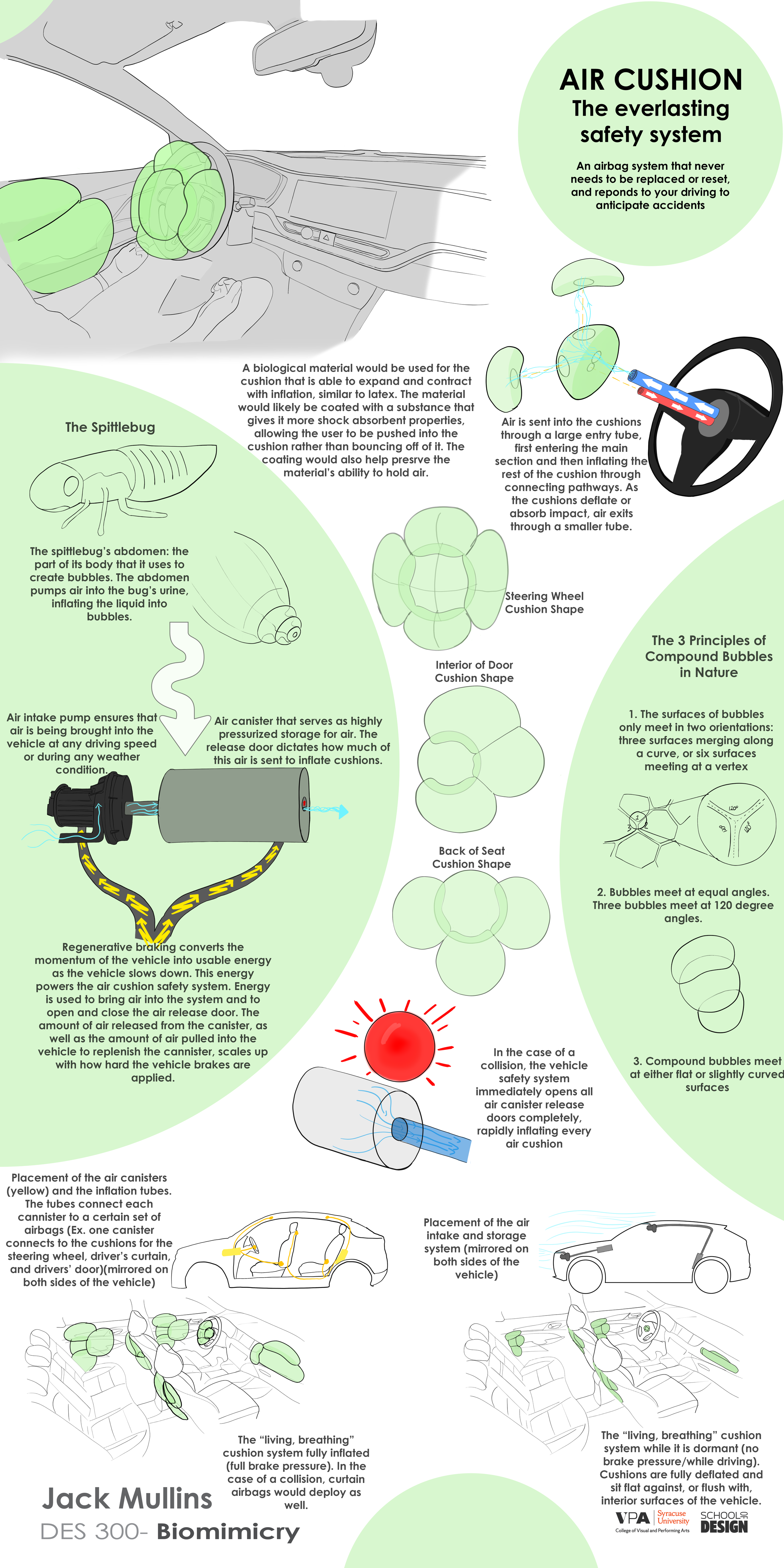 Air Cushion - Biomimicry Poster - Jack Mullins.png