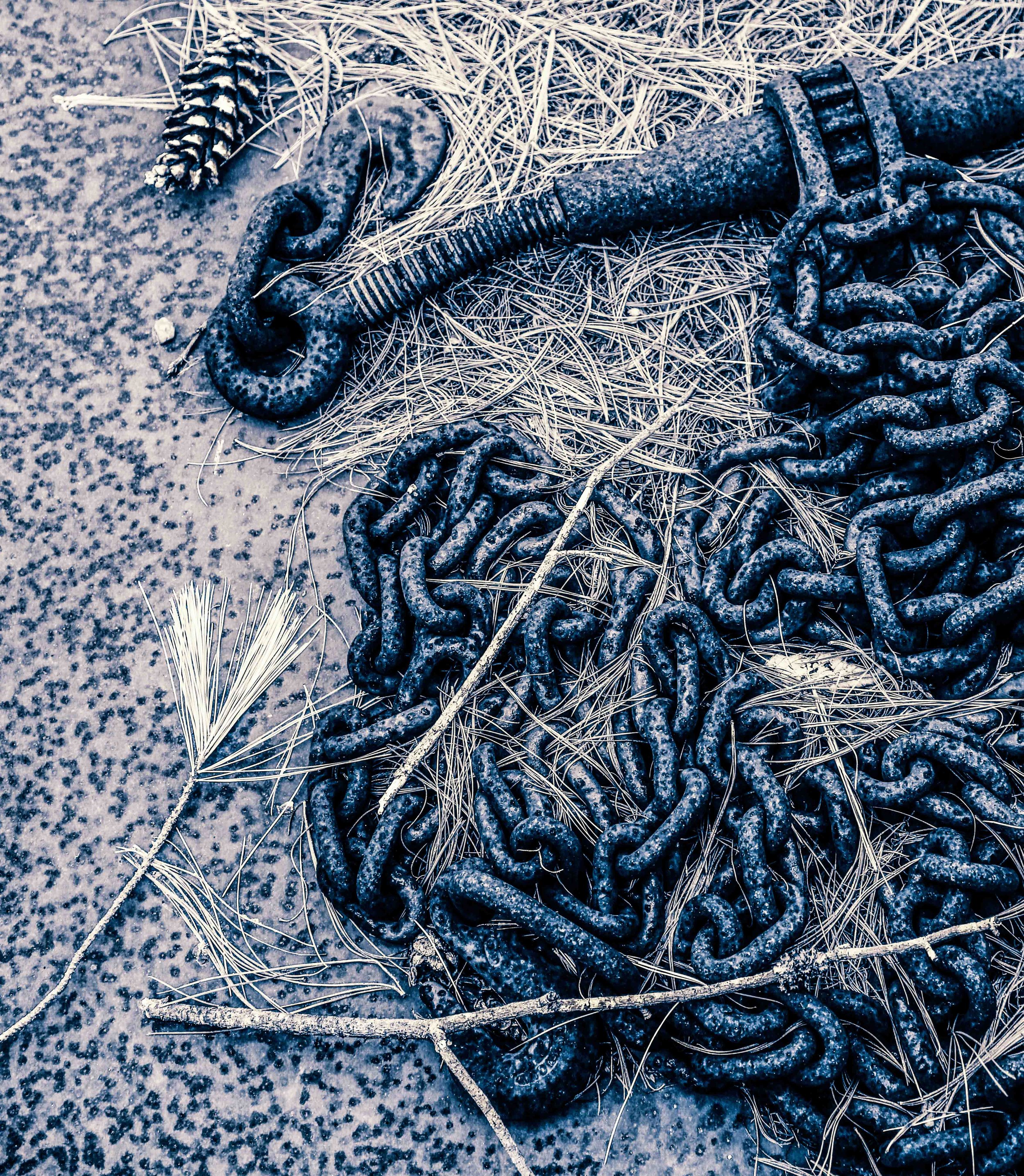 Blue Chain | digital photograph | 100