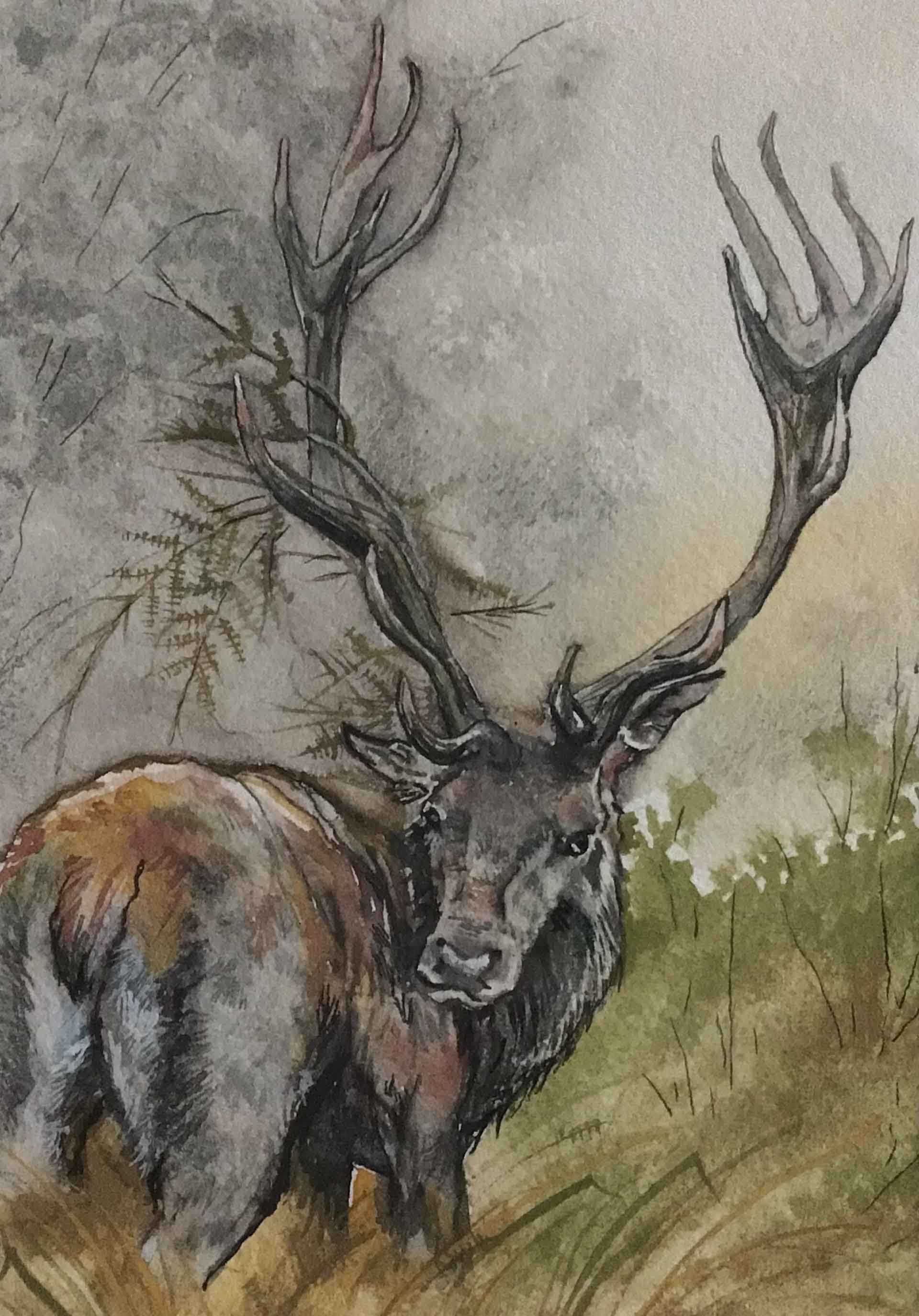 Elk in the Meadow | 5x7 | watercolor & ink | SOLD