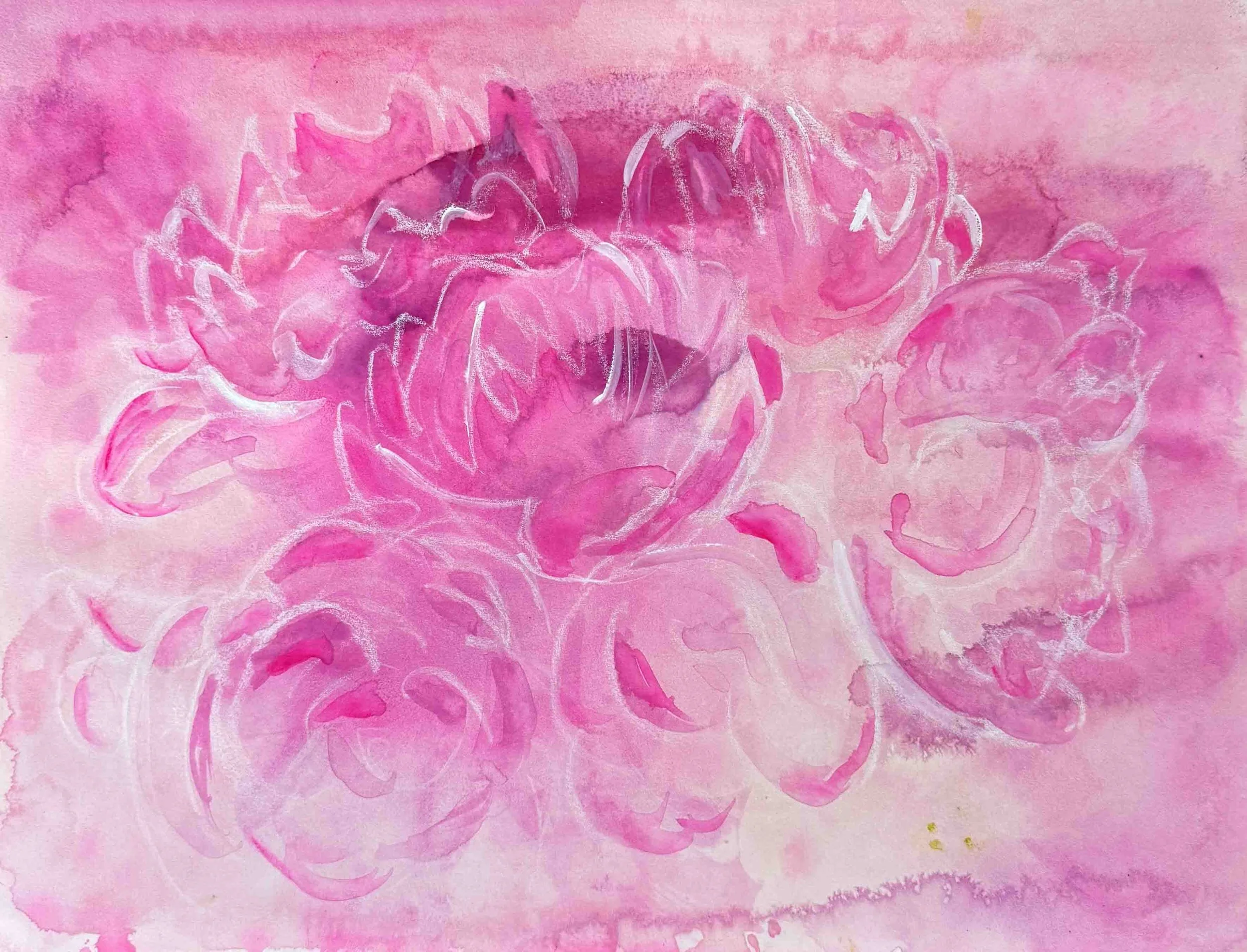 Peonies  16x12  watercolor, pen, ink, marker on arches hot-pressed paper  250.jpg