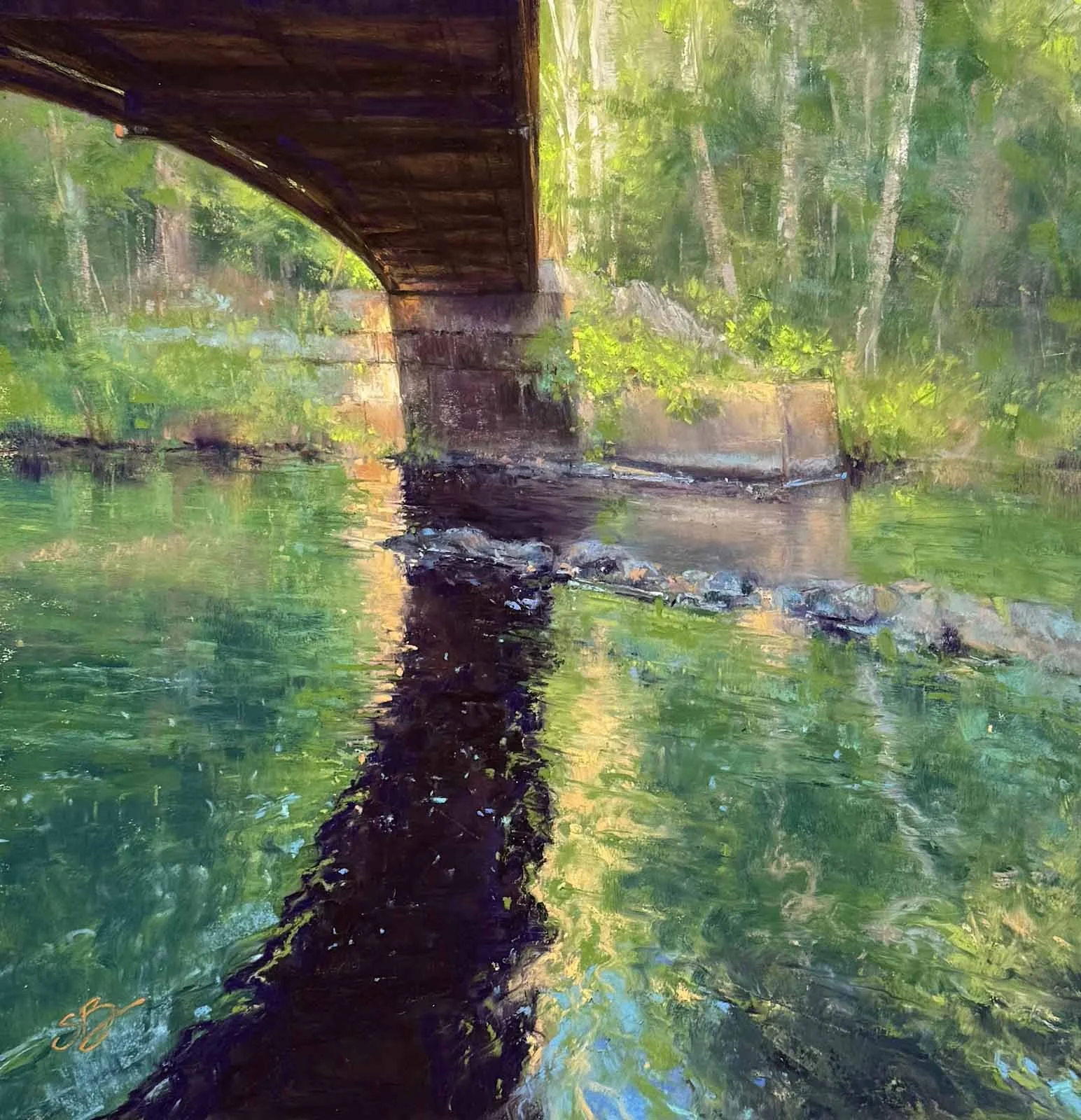 Deep in the Shallow | 15 x 15 | soft pastel | NFS | Currently showing at the Pastel Society of America 53rd International Juried Exhibition at The National Arts Club, NYC