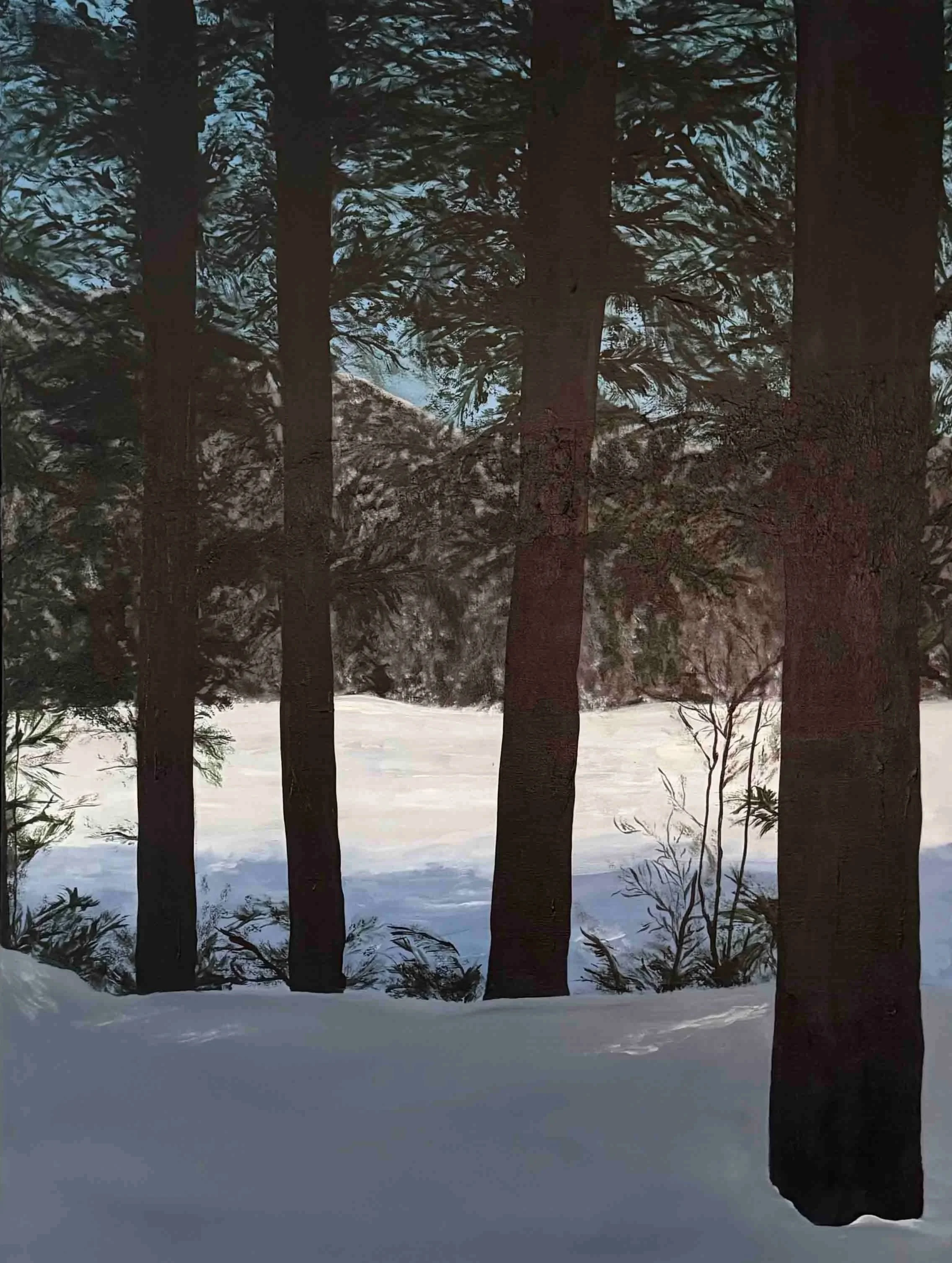 The Sound Of Silence | 30x40 | acrylic on canvas framed | 650