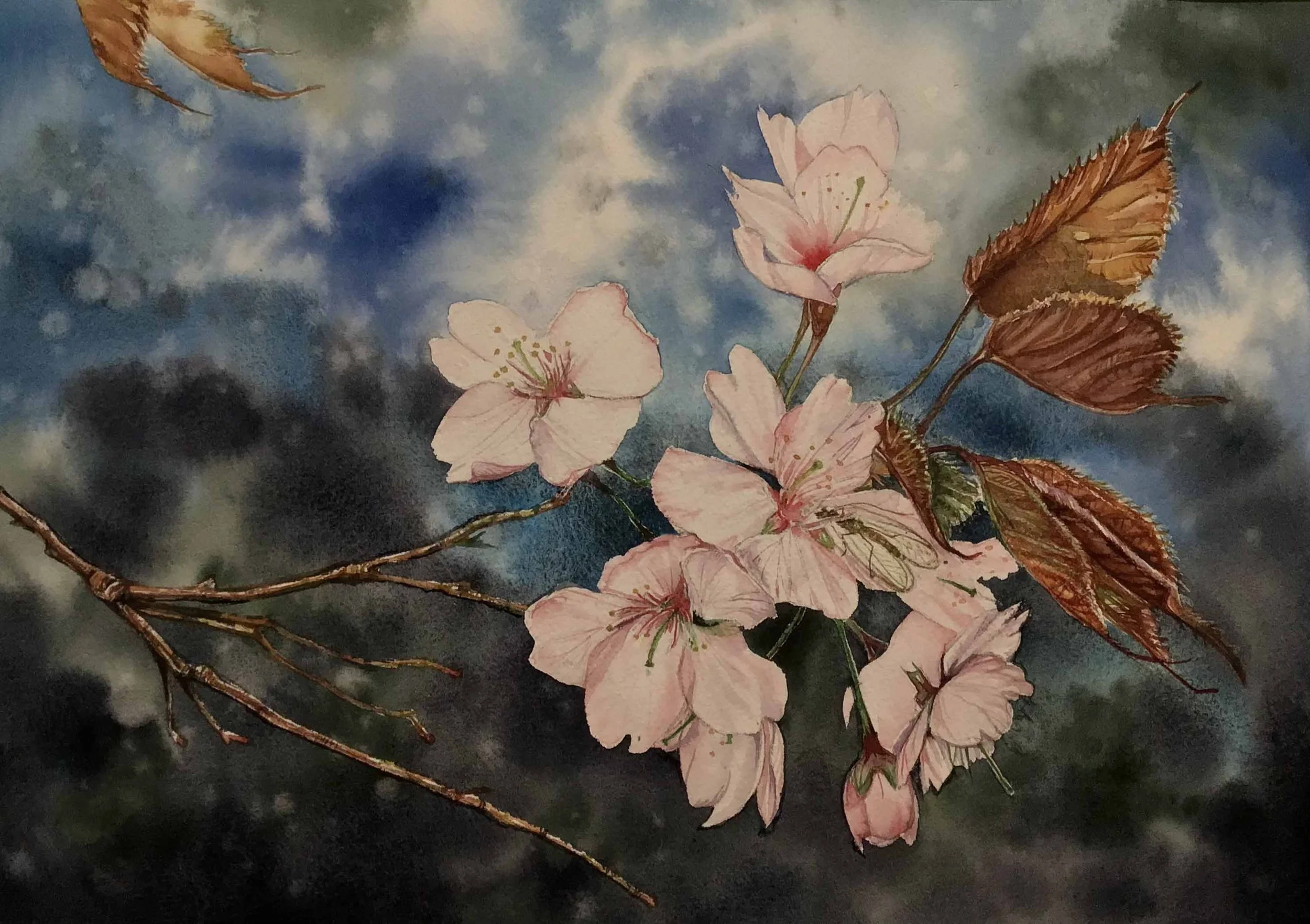 Elaine Packard