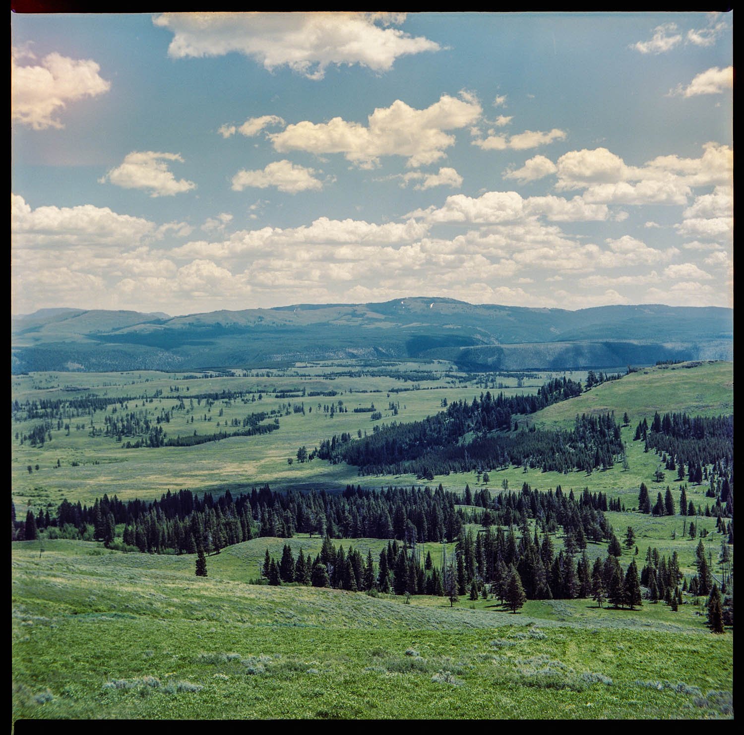 Washburn Range | 16x16 | medium format film | 275