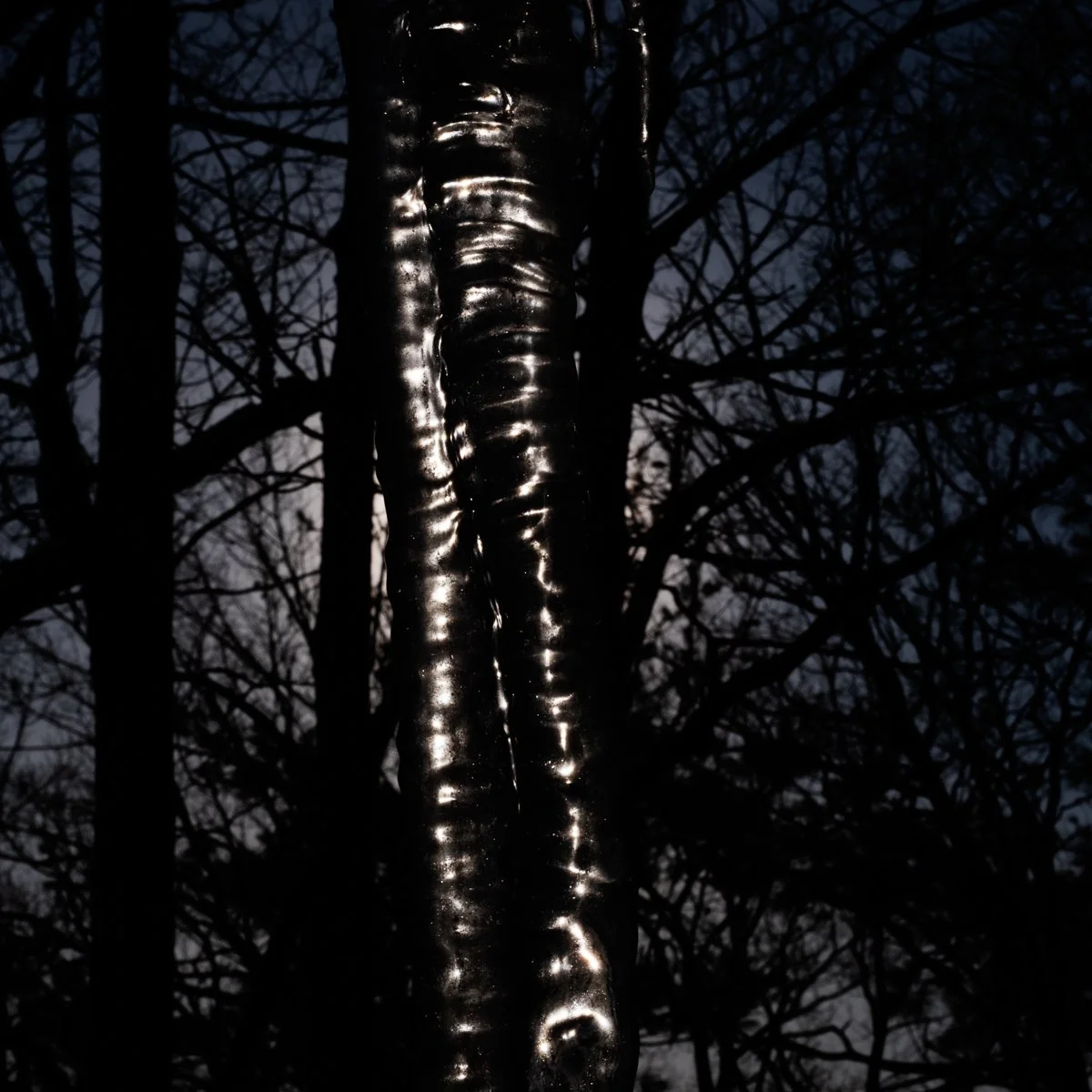 Beyond-18 2_5 | 20x20.25 | limited edition photograph framed w/ black matte | 1,000