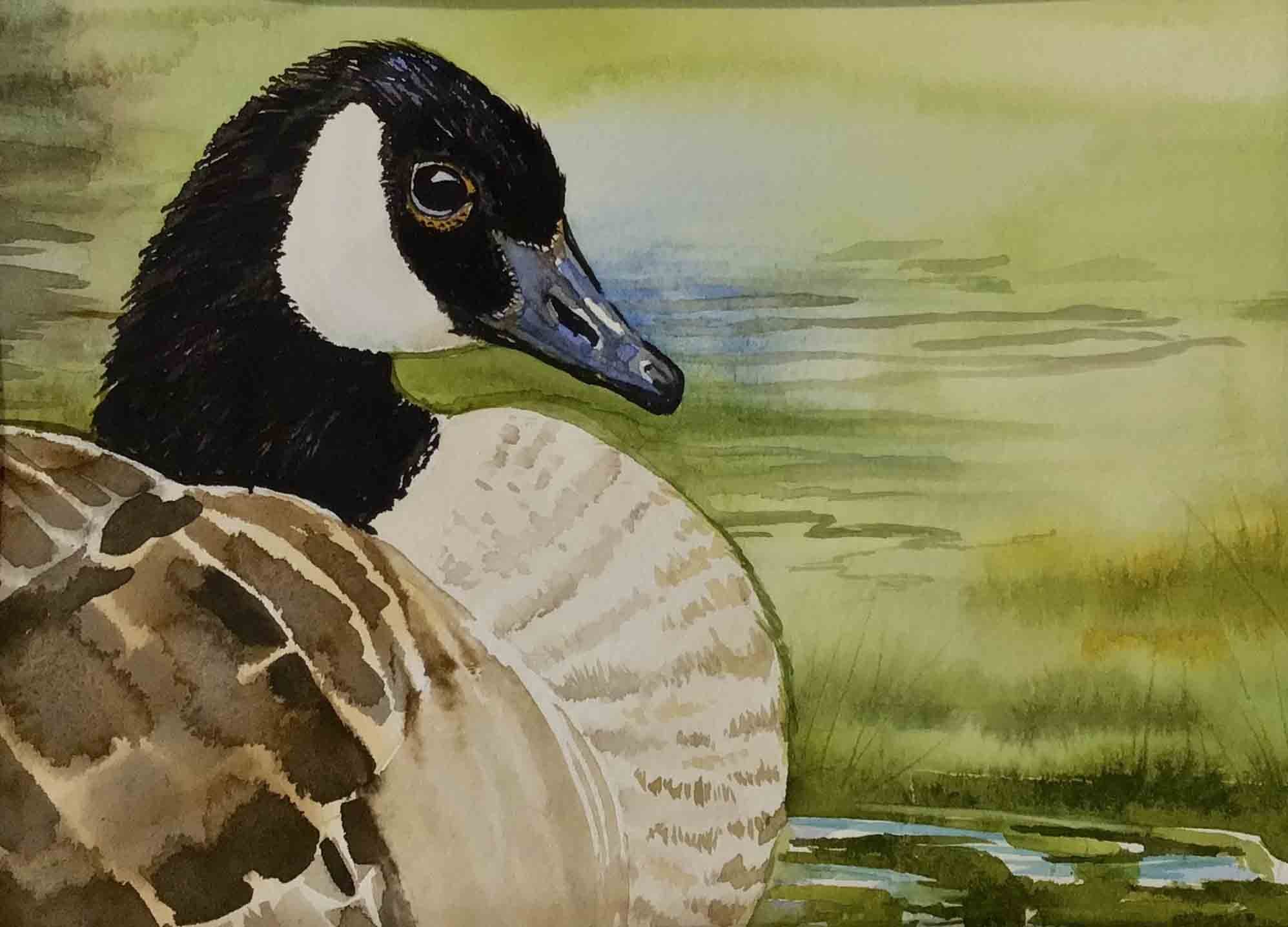 Papa Goose | 8x10 | watercolor | 250