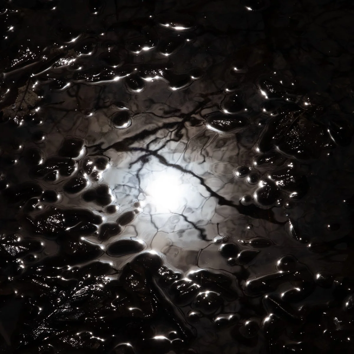 Beyond-17 1_5,20 x 20.25,Photography,�1,000.jpg