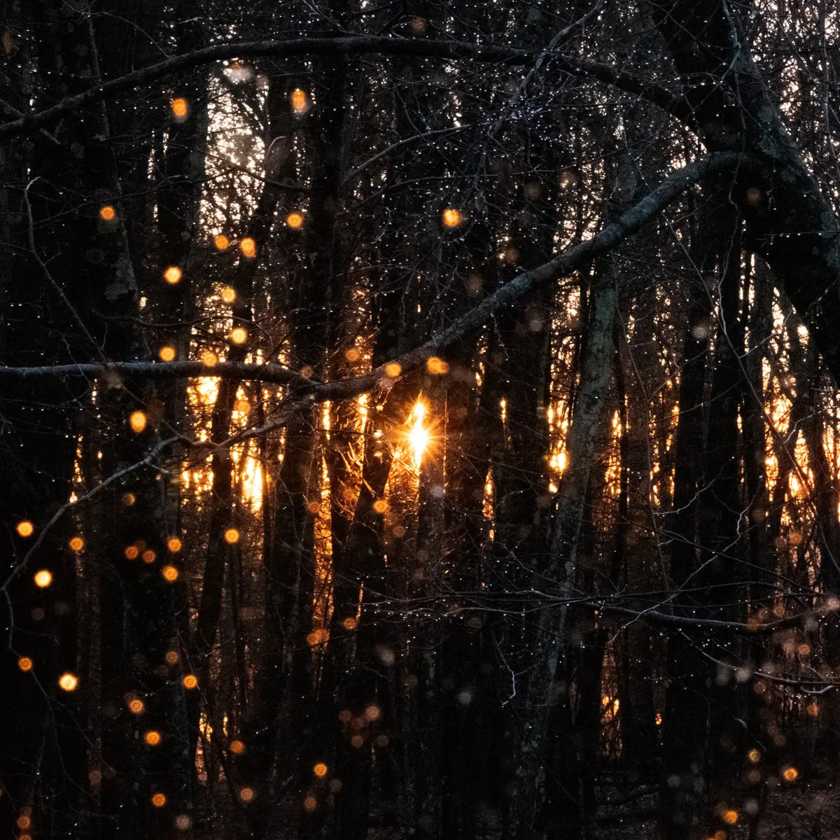 Beyond-1 1_3 | 24 x 24.25 | limited edition photograph framed w/ black matte | 1,200