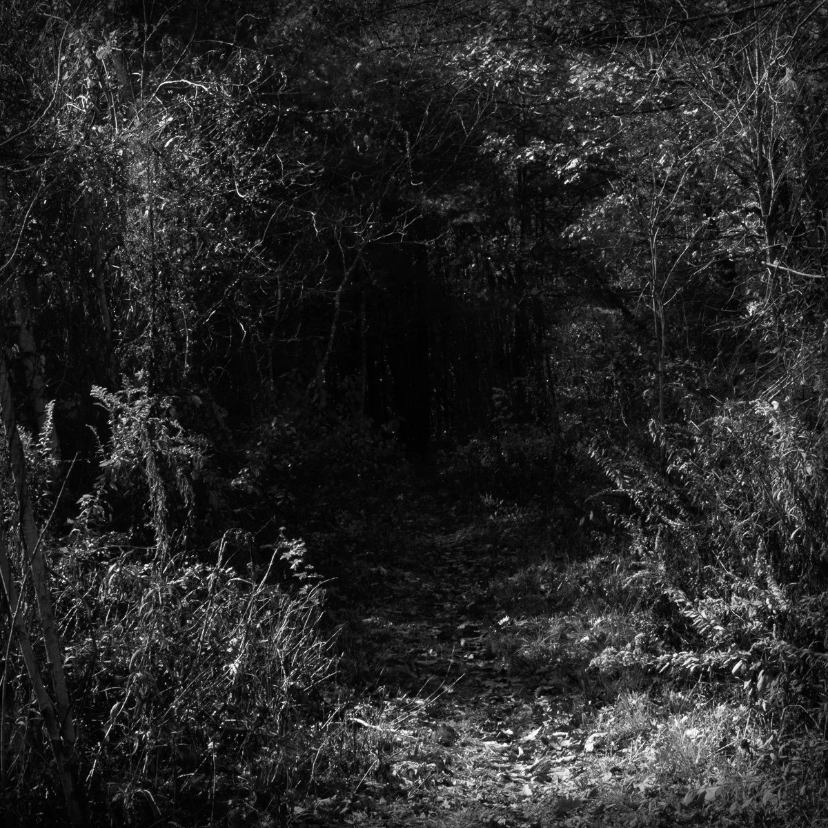 Beyond-16 1_5 | 20x 20.25 | limited edition photograph framed w/ black matte | 1,000