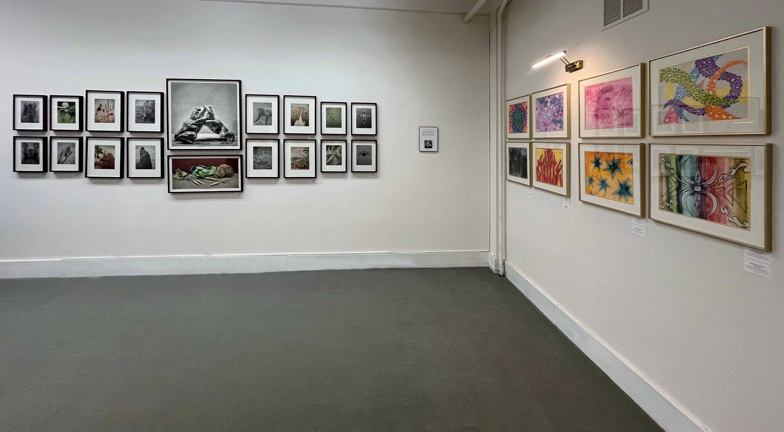 Glimpse Gallery 2026 February 9th - March 9th Show E.jpg