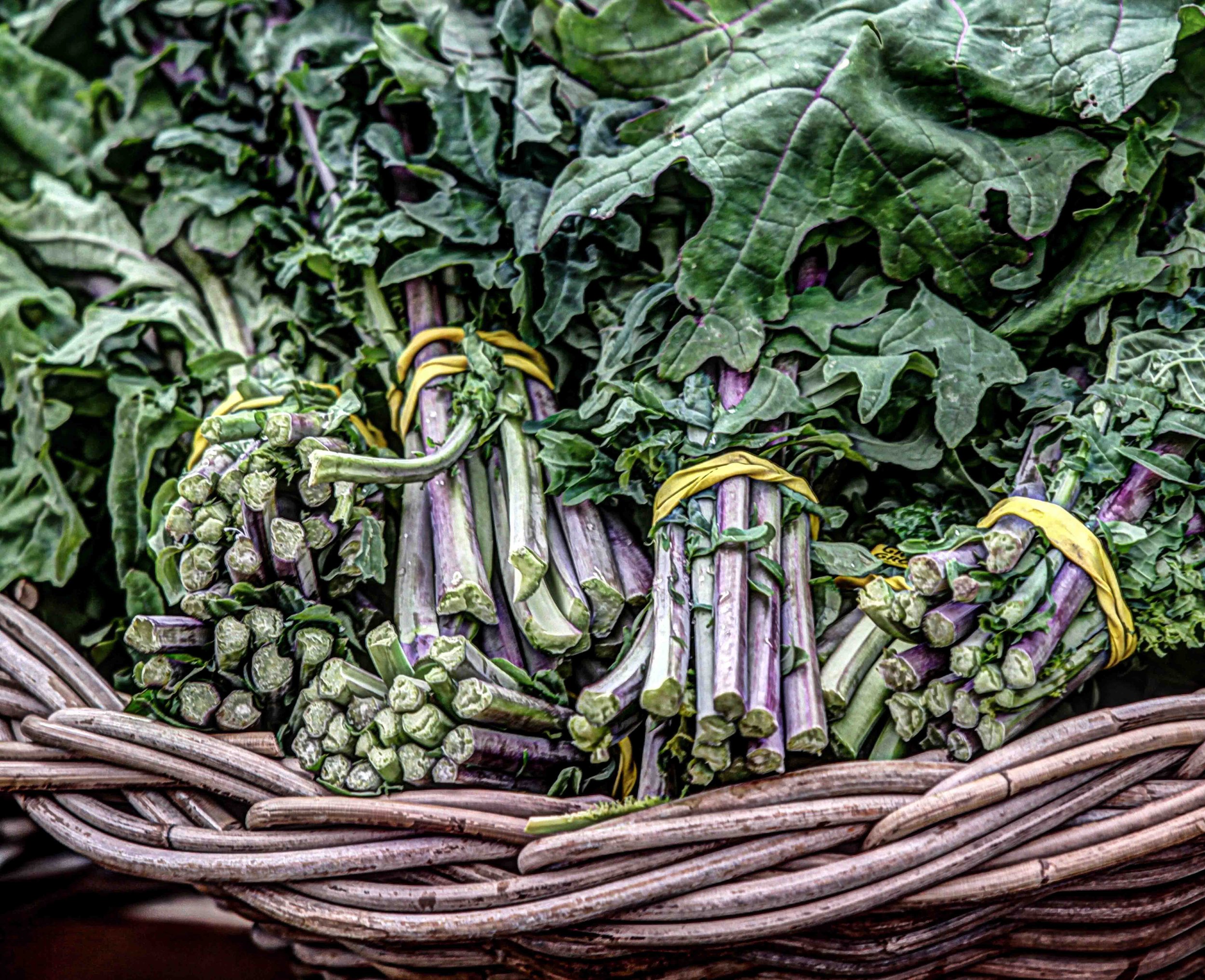 Rhubarb | digital photograph | 100
