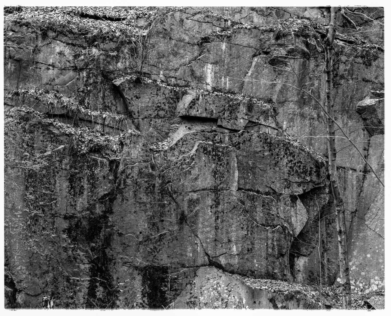 NH Granite | 16x20 | 4x5 black & white film | 275